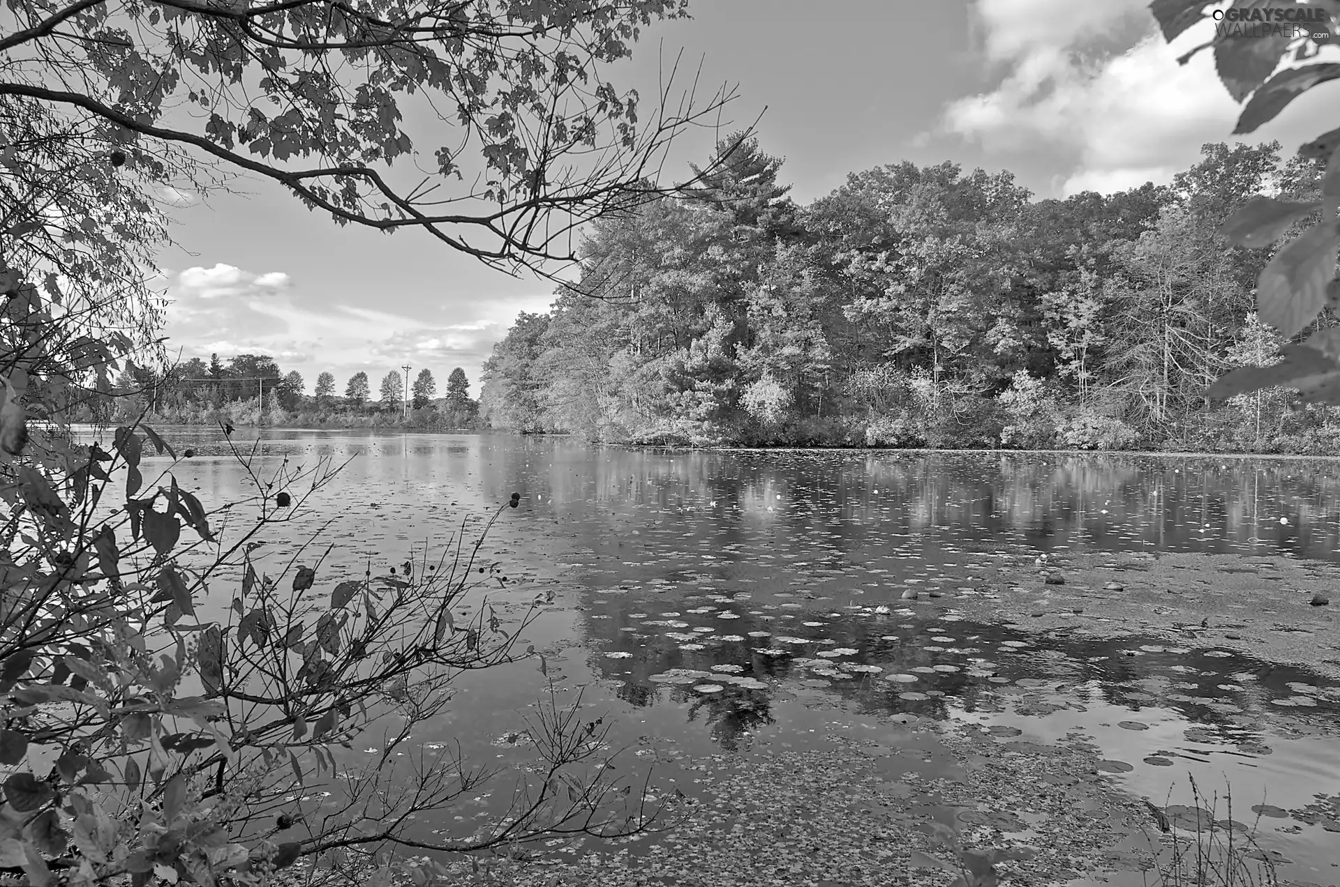 forest, autumn, lake, clouds, flash, luminosity, ligh, sun, Przebijające