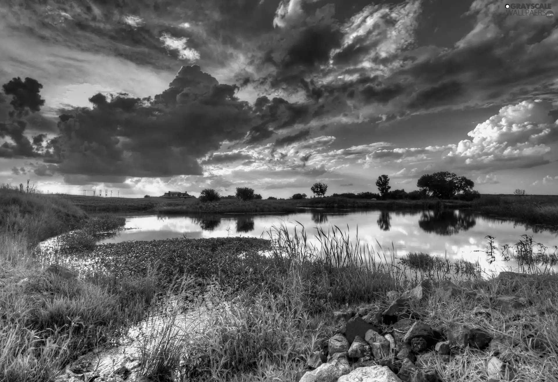 lake, Meadow, sun, clouds, west