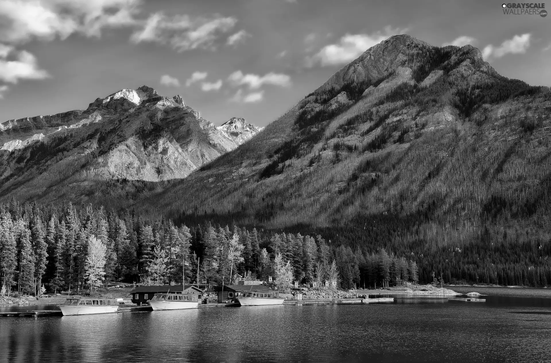 Mountains, Harbour, lake, forest