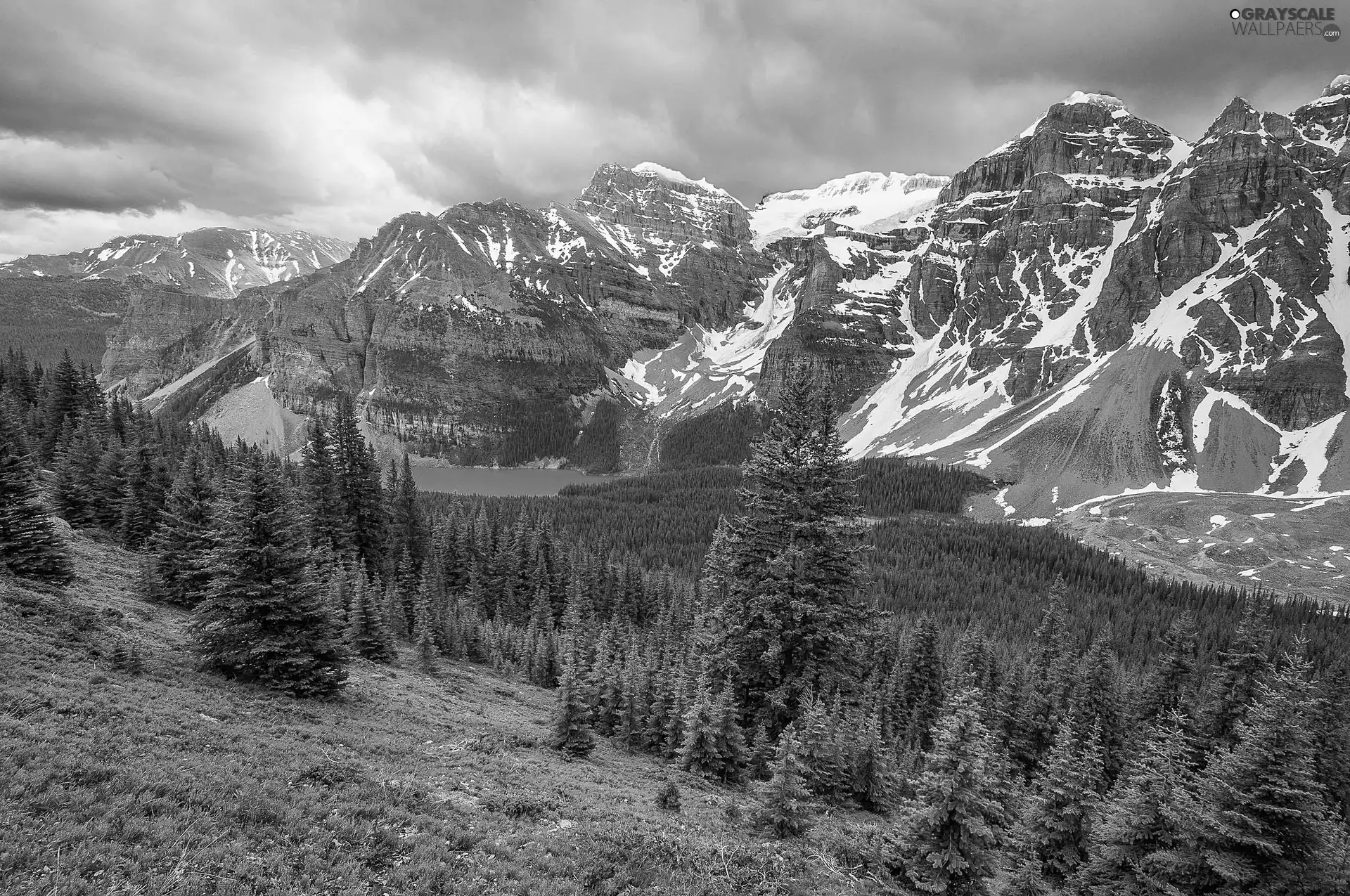 woods, Banff National Park, Valley of the Ten Peaks, viewes, Lake Moraine, Canada, Valley of the Ten Peaks, peaks, trees, Mountains