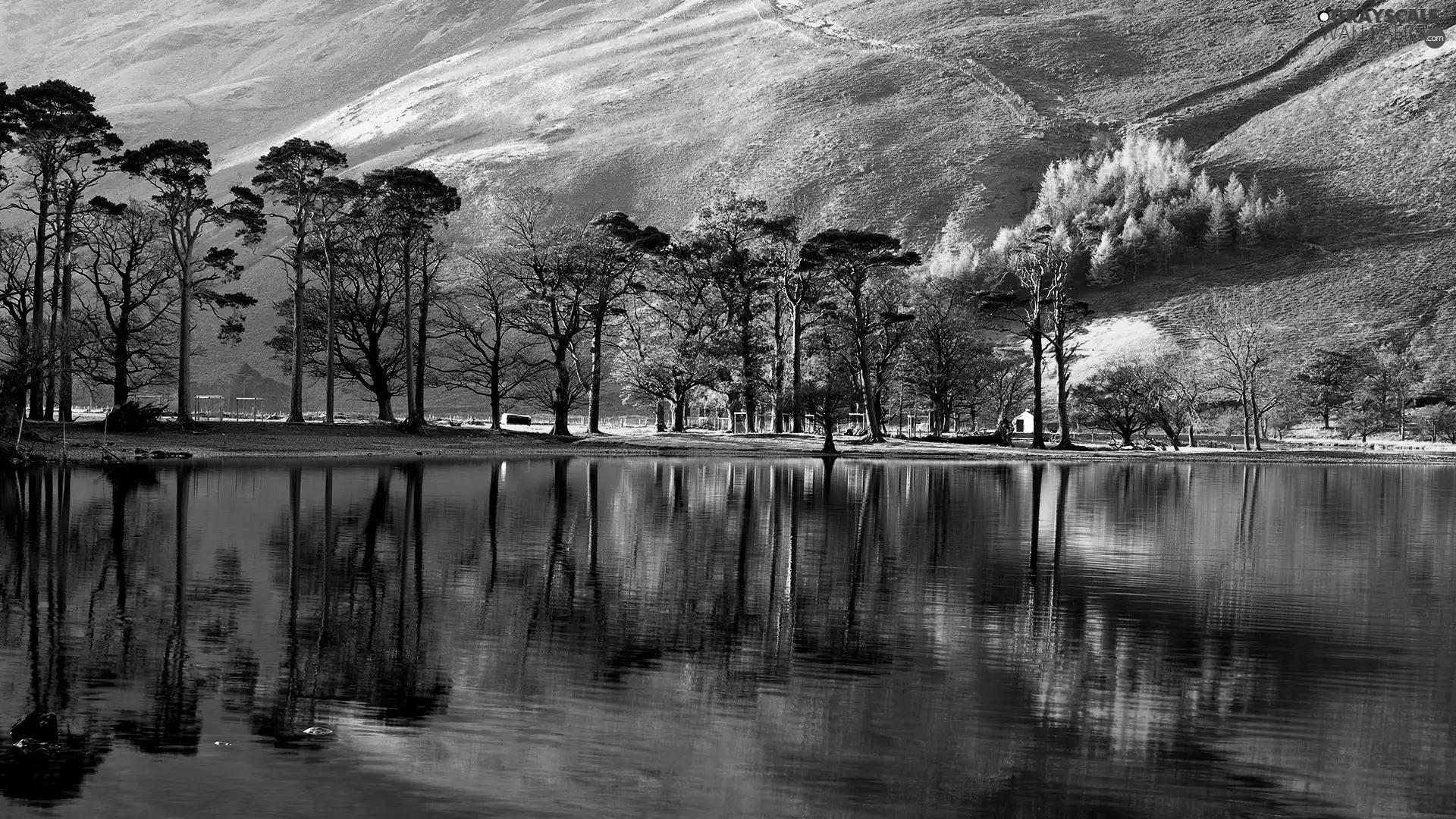 Mountains, viewes, lake, trees