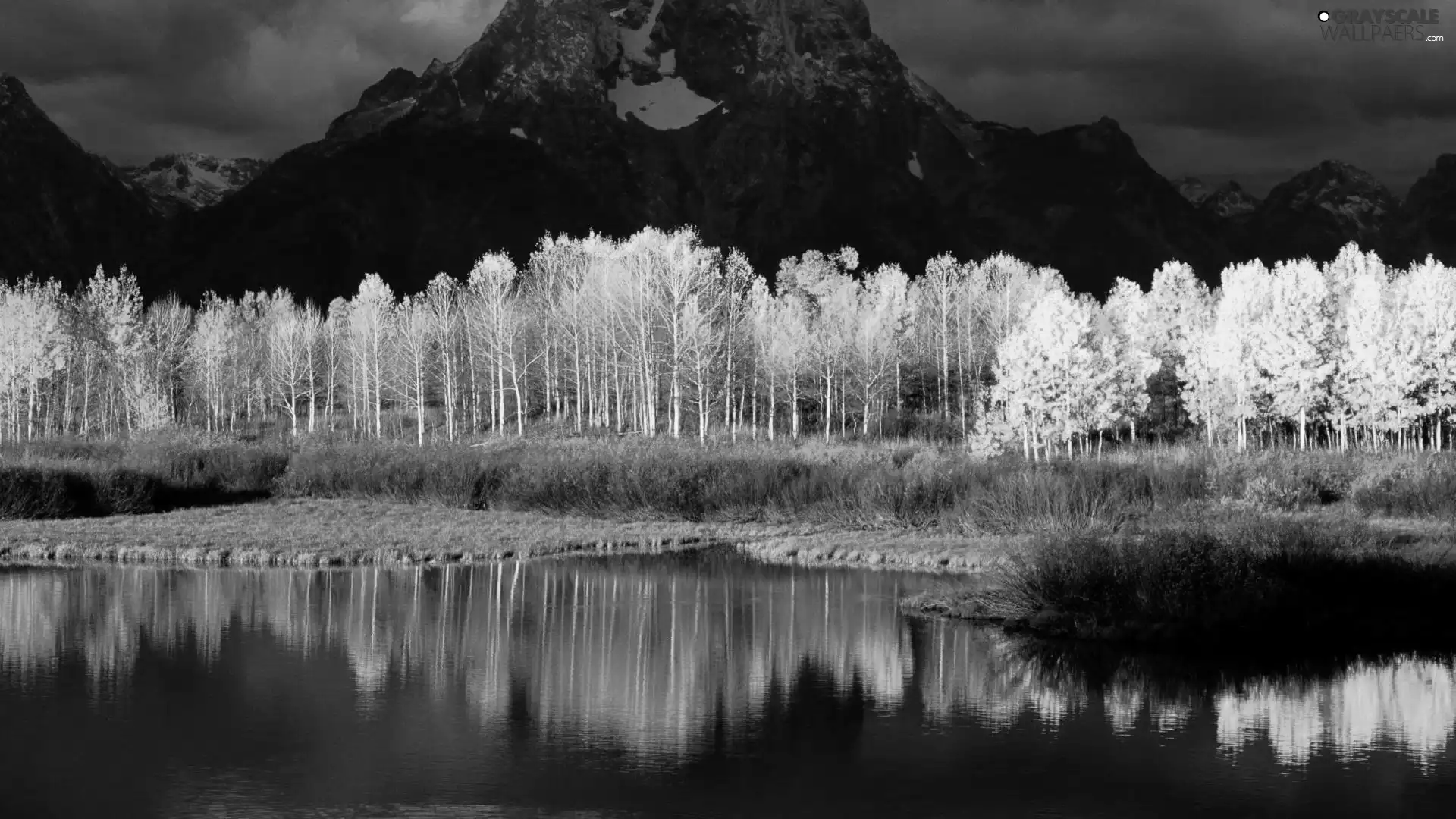 Mountains, viewes, lake, trees