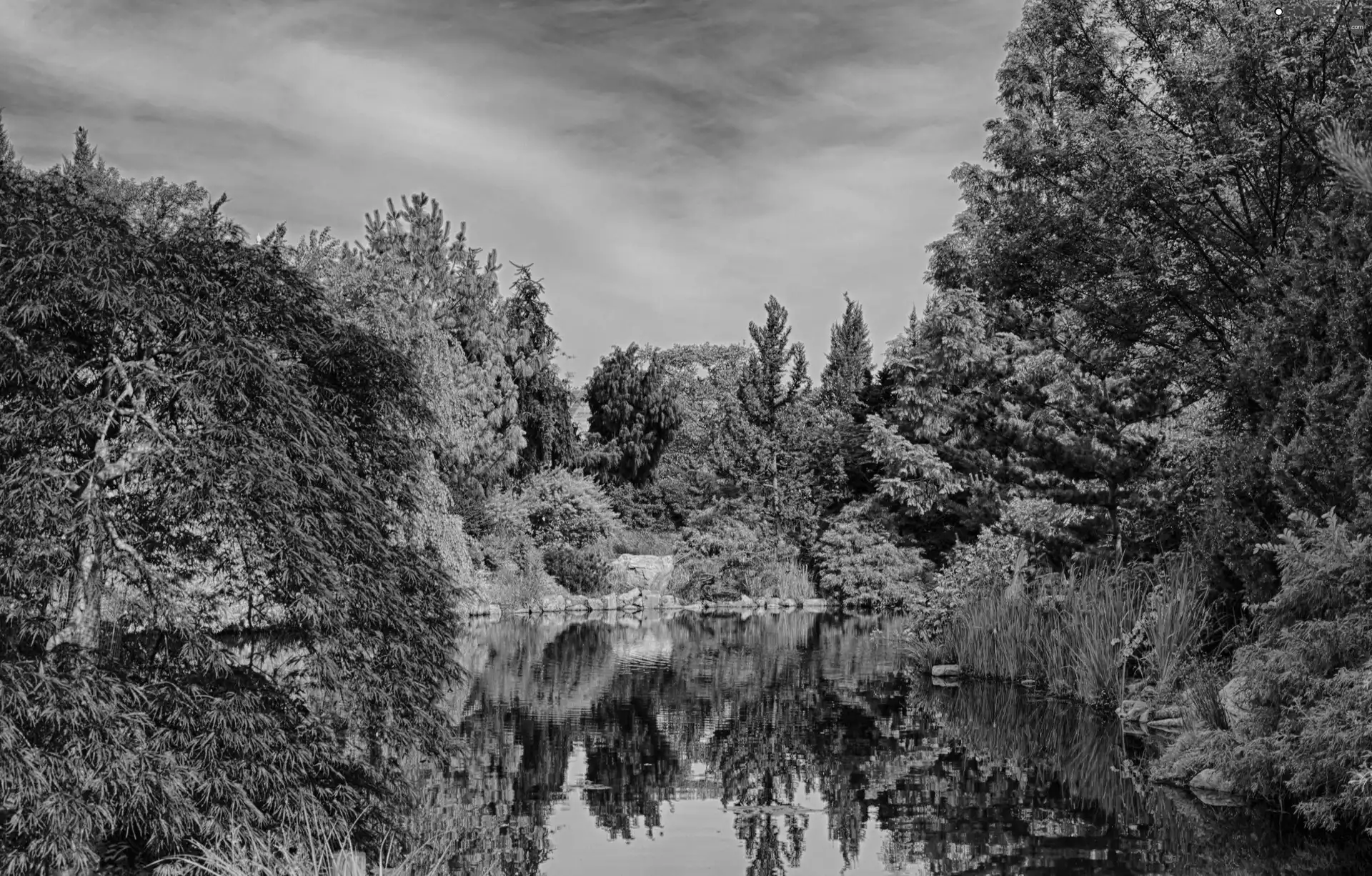 Park, viewes, lake, trees