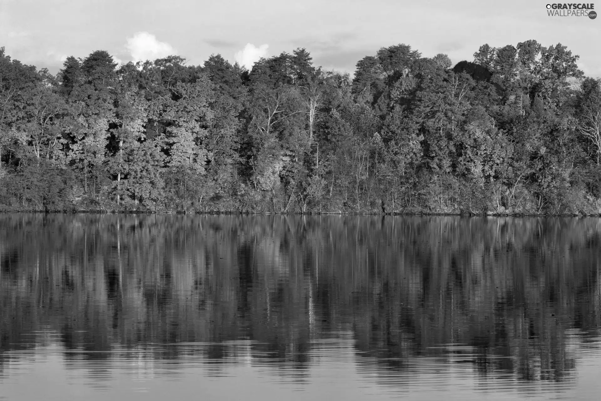lake, reflection, Colours, autumn, color