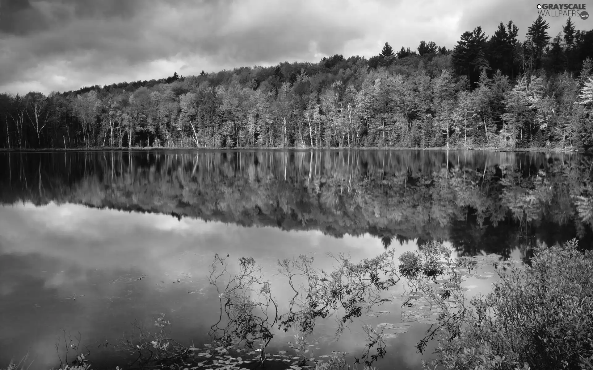 lake, reflection, trees, viewes, rust