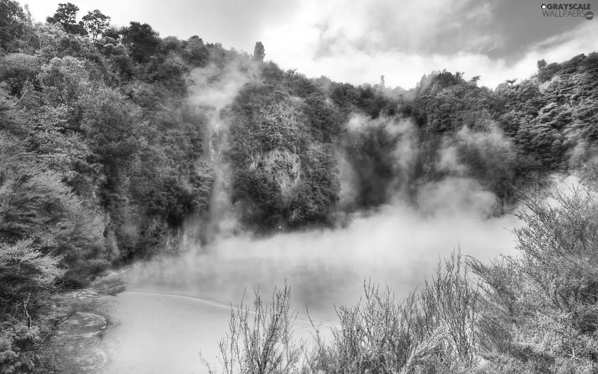 New Zeland, lake, Steam, Waimangu Volcanic Valley