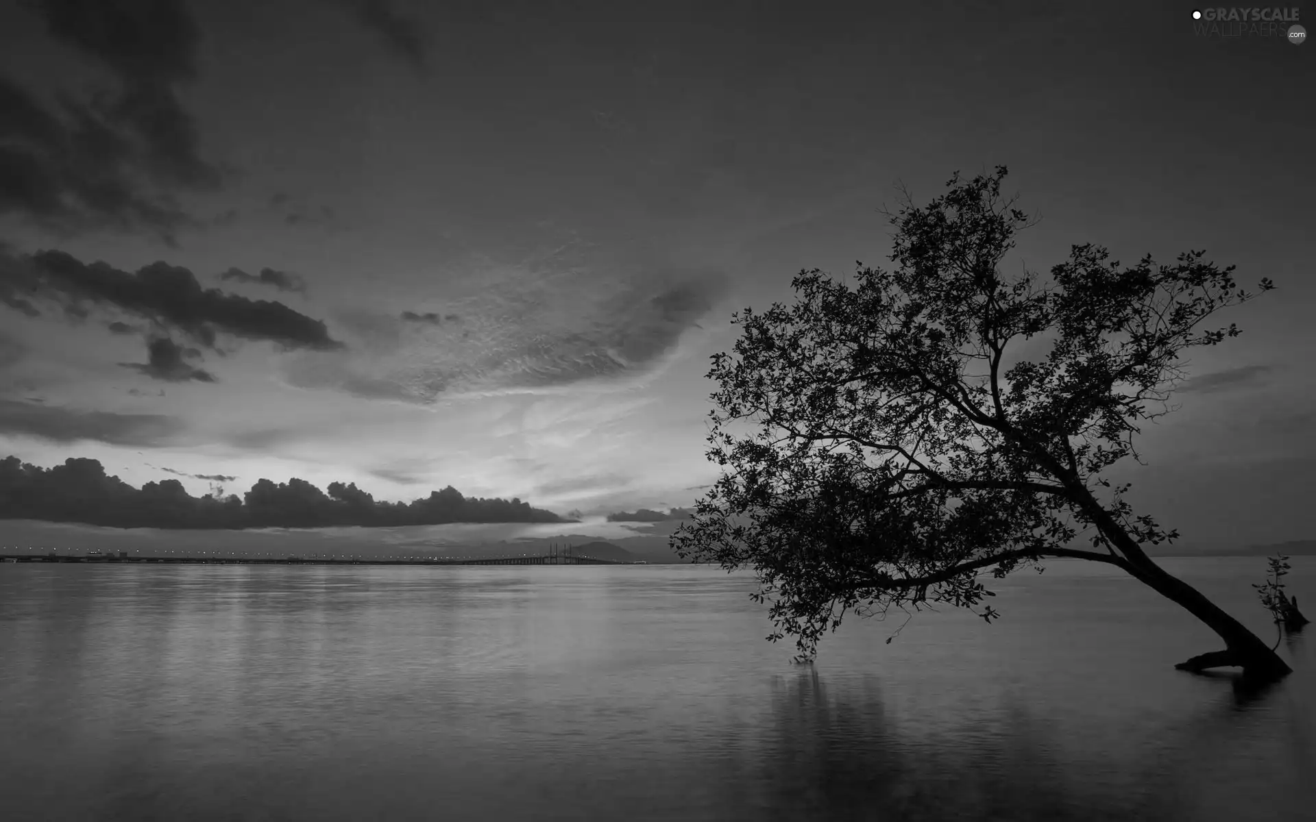 Great Sunsets, trees, lake