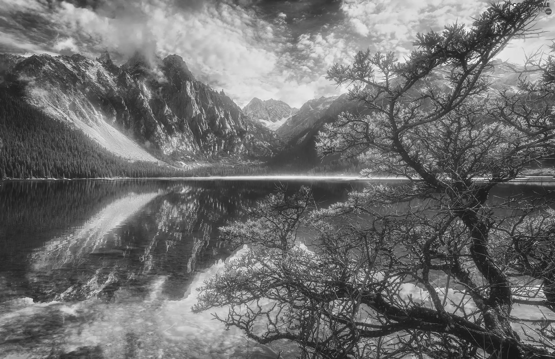 trees, Mountains, morning, lake