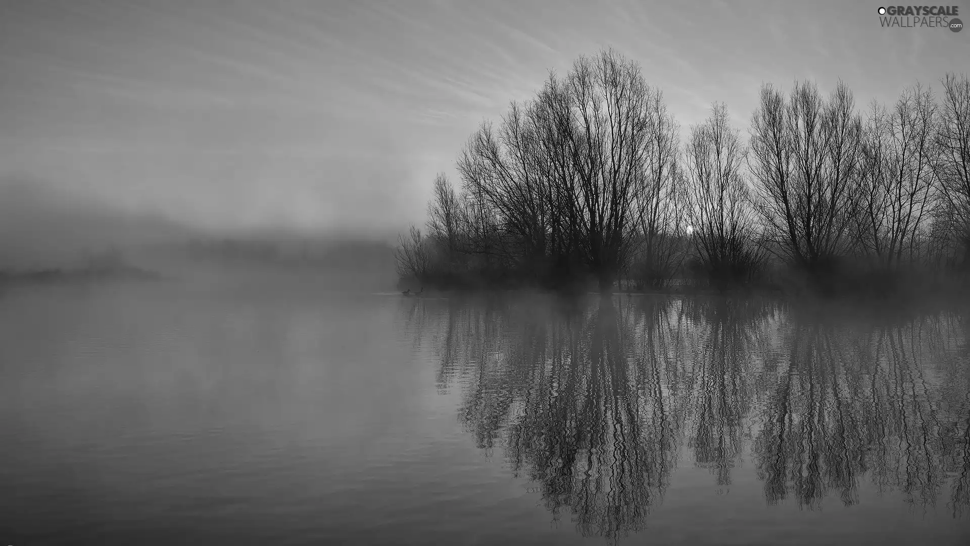Fog, Sunrise, viewes, lake, morning, trees, reflection