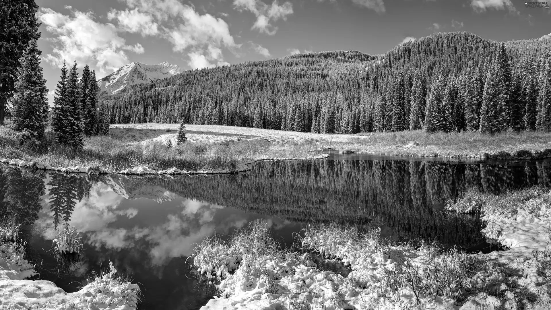 lake, Mountains, snow, forest, Sky, winter, viewes, reflection, trees