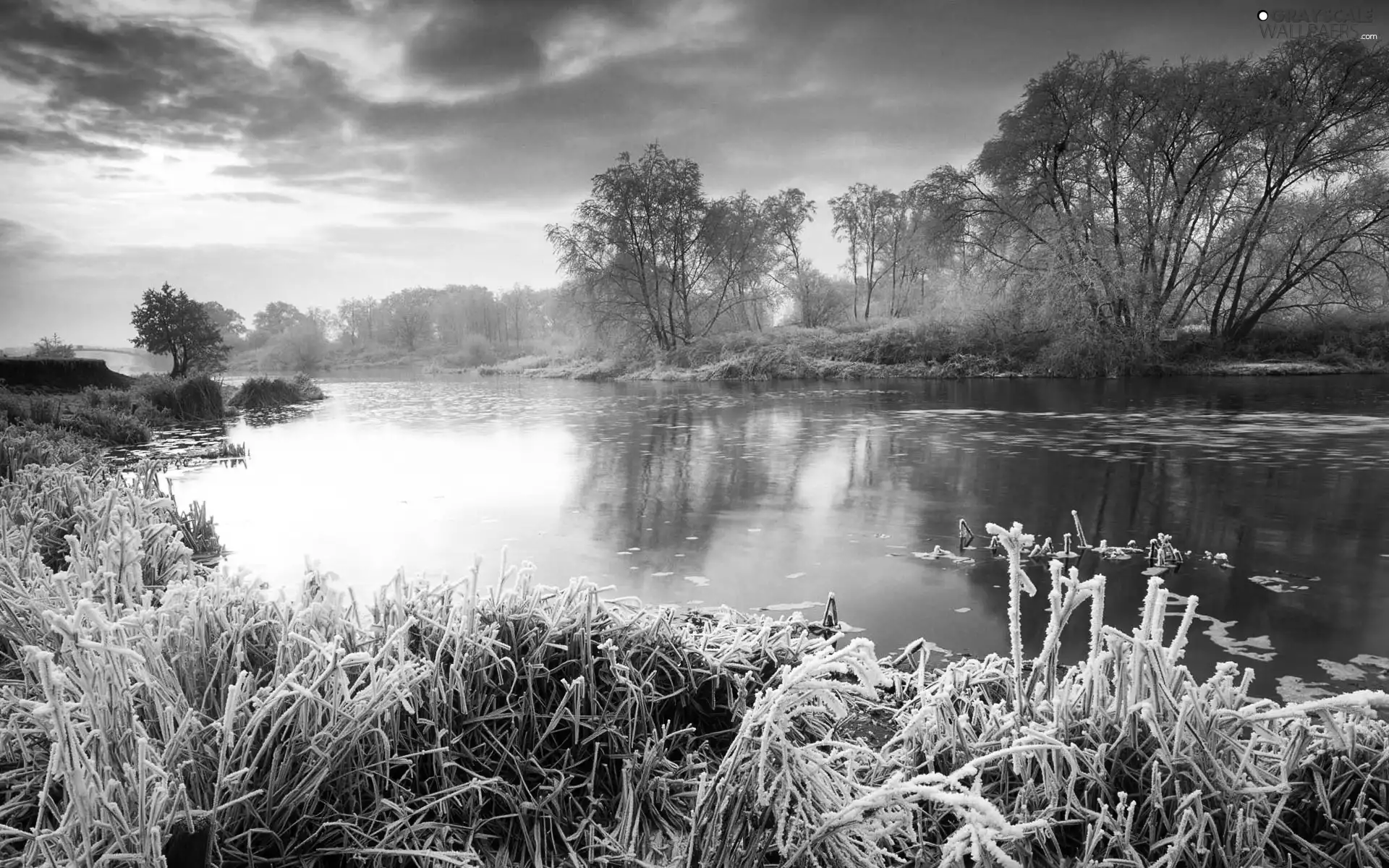 winter, sun, lake, west