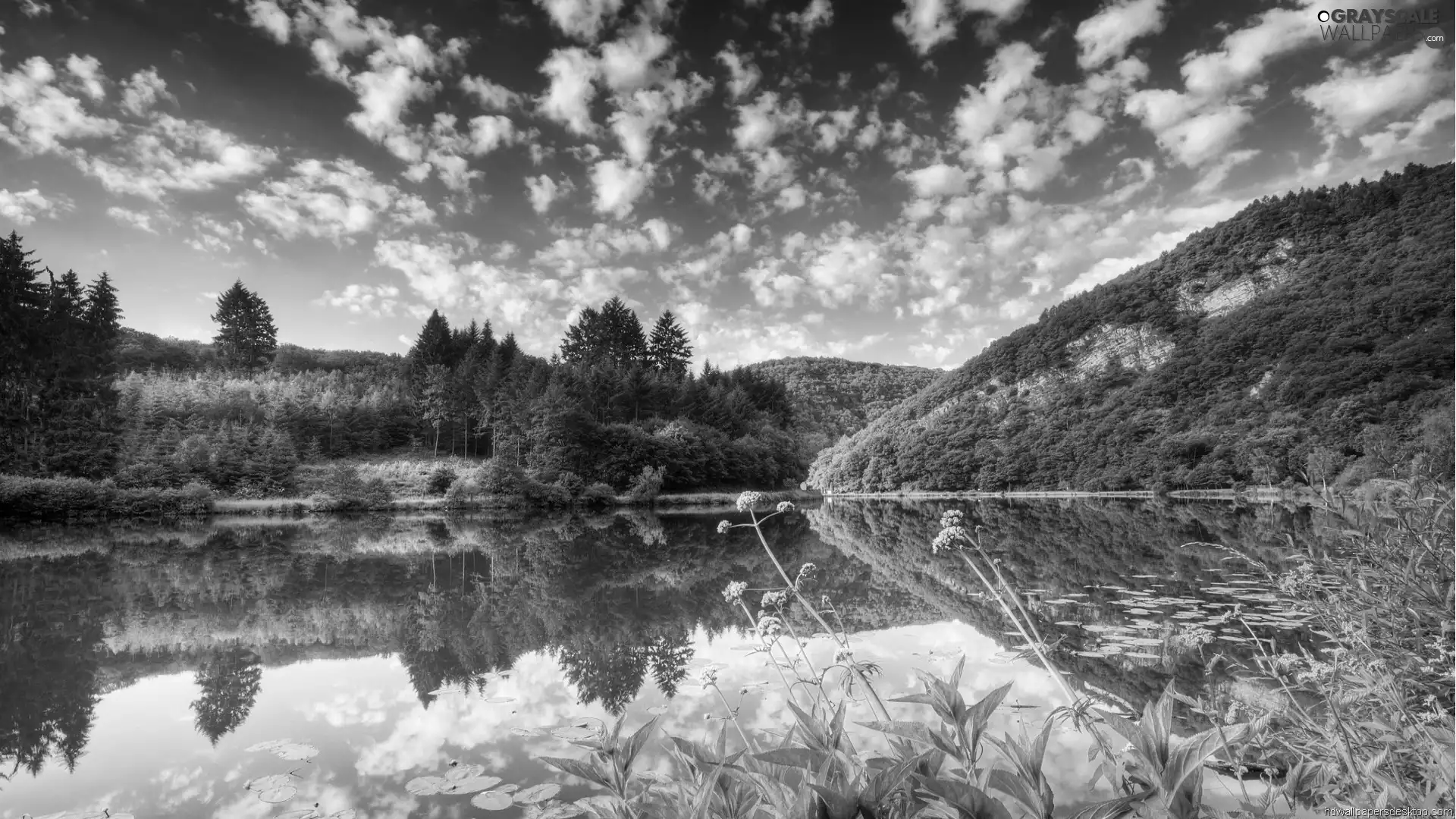 lake, Mountains, woods