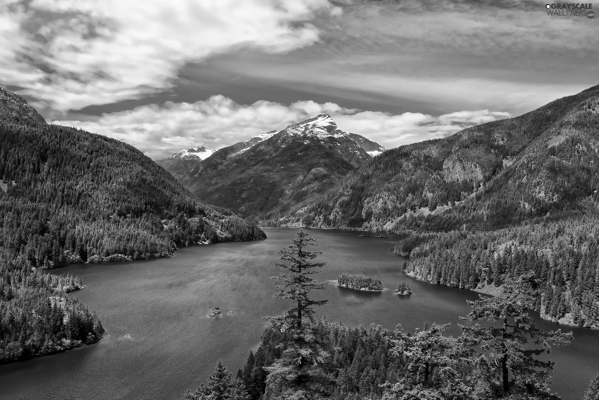 lake, Mountains, woods