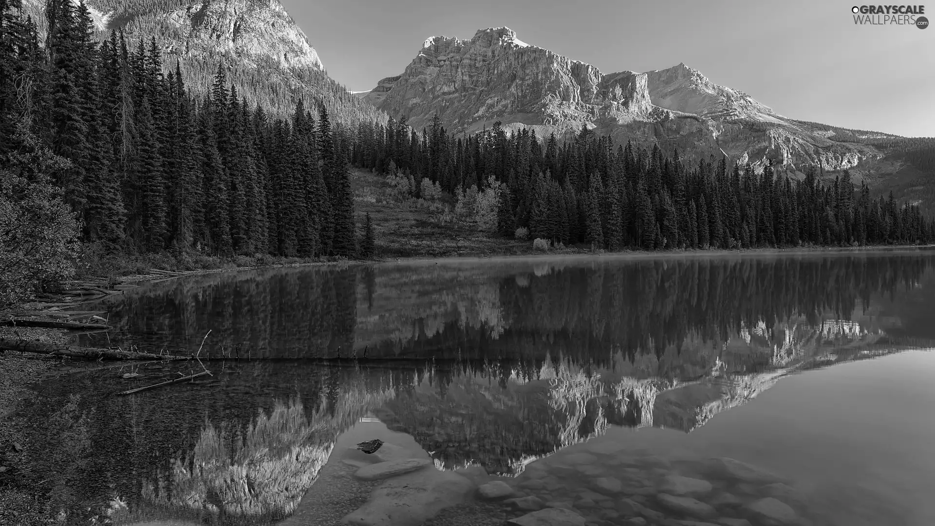 lake, Mountains, Emerald Lake, forest, British Columbia, Canada, viewes, Yoho National Park, trees