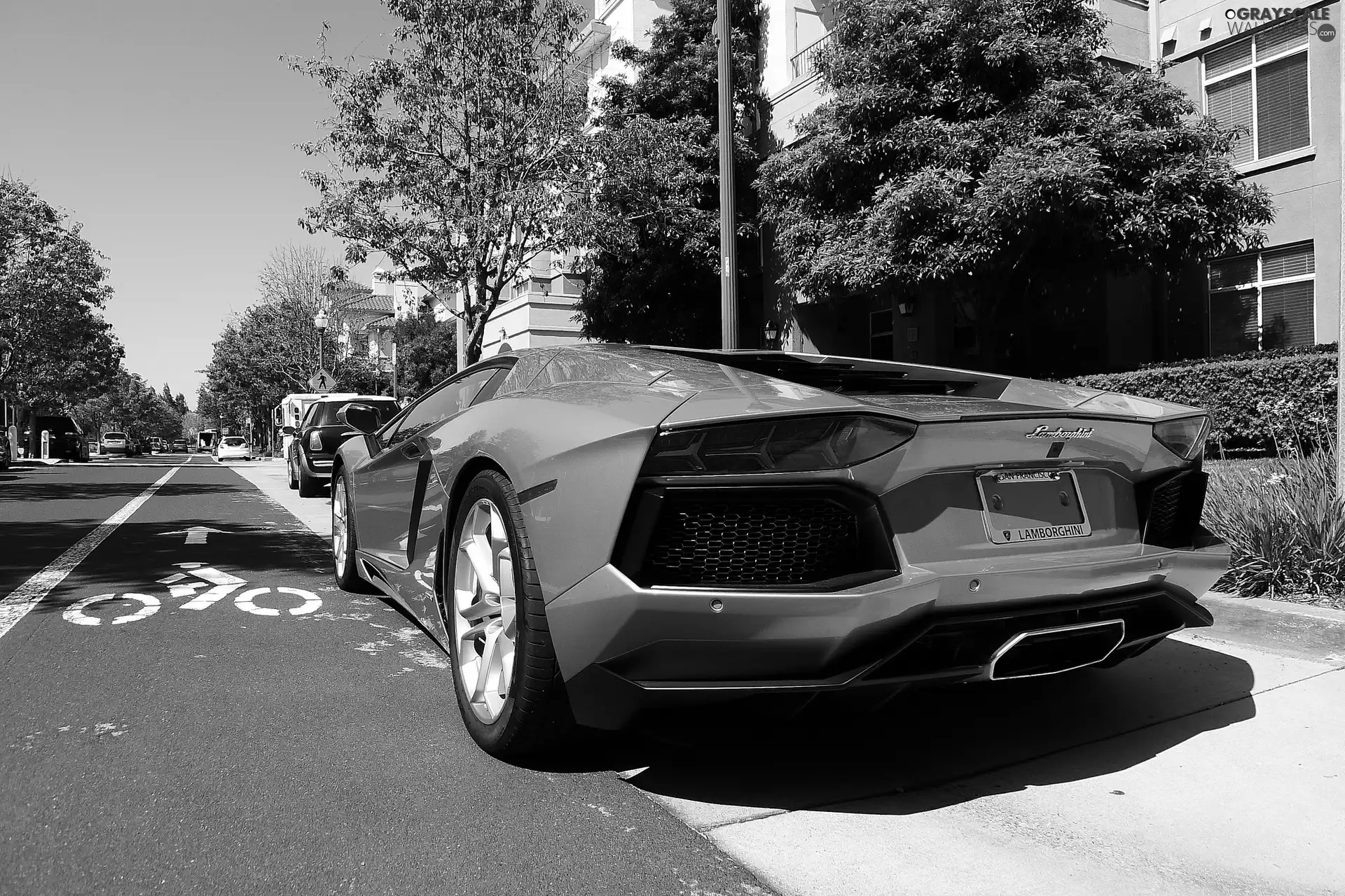 Street, Yellow, Lamborghini Aventador LP700-4