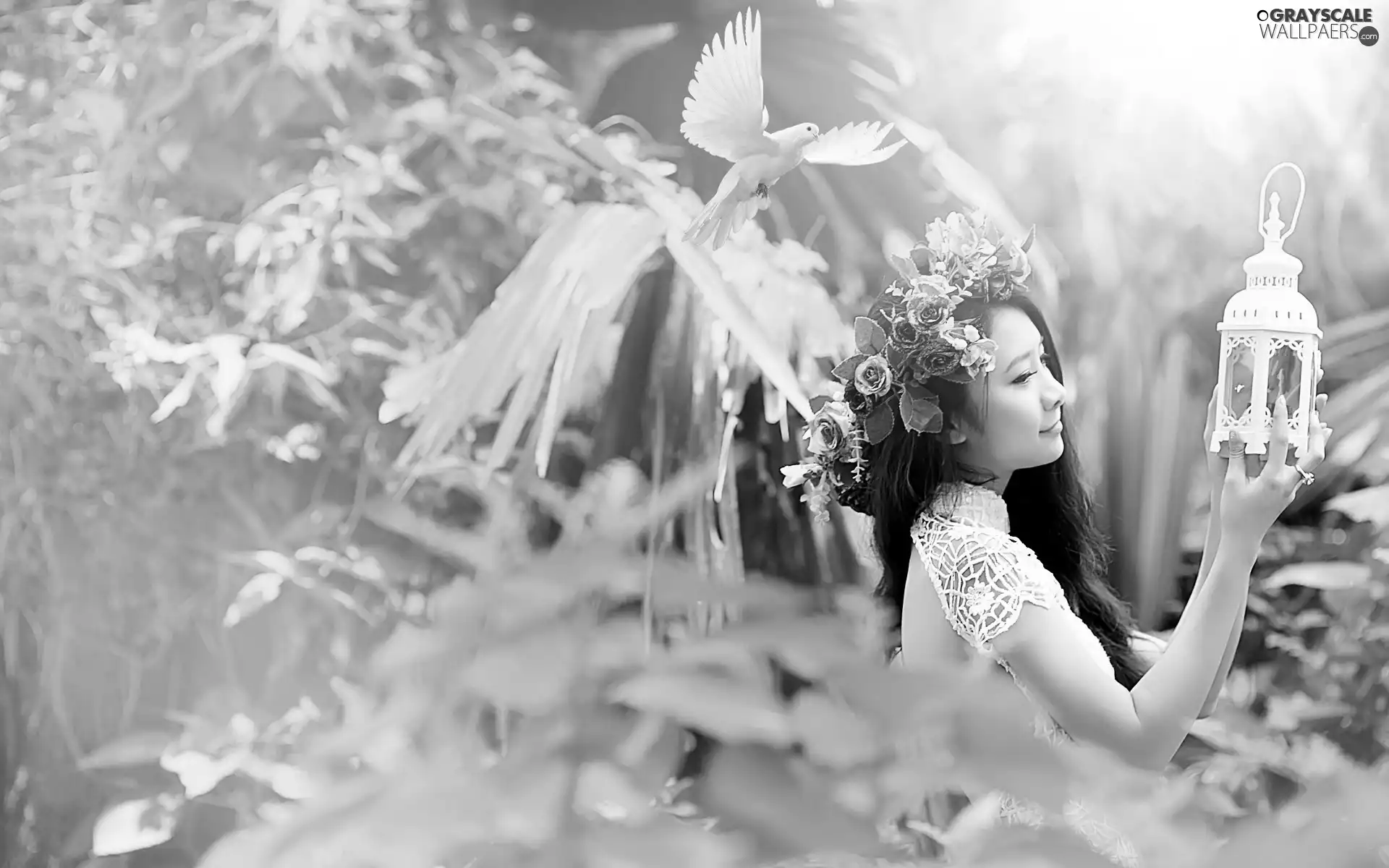 Women, pigeon, Lamp, wreath