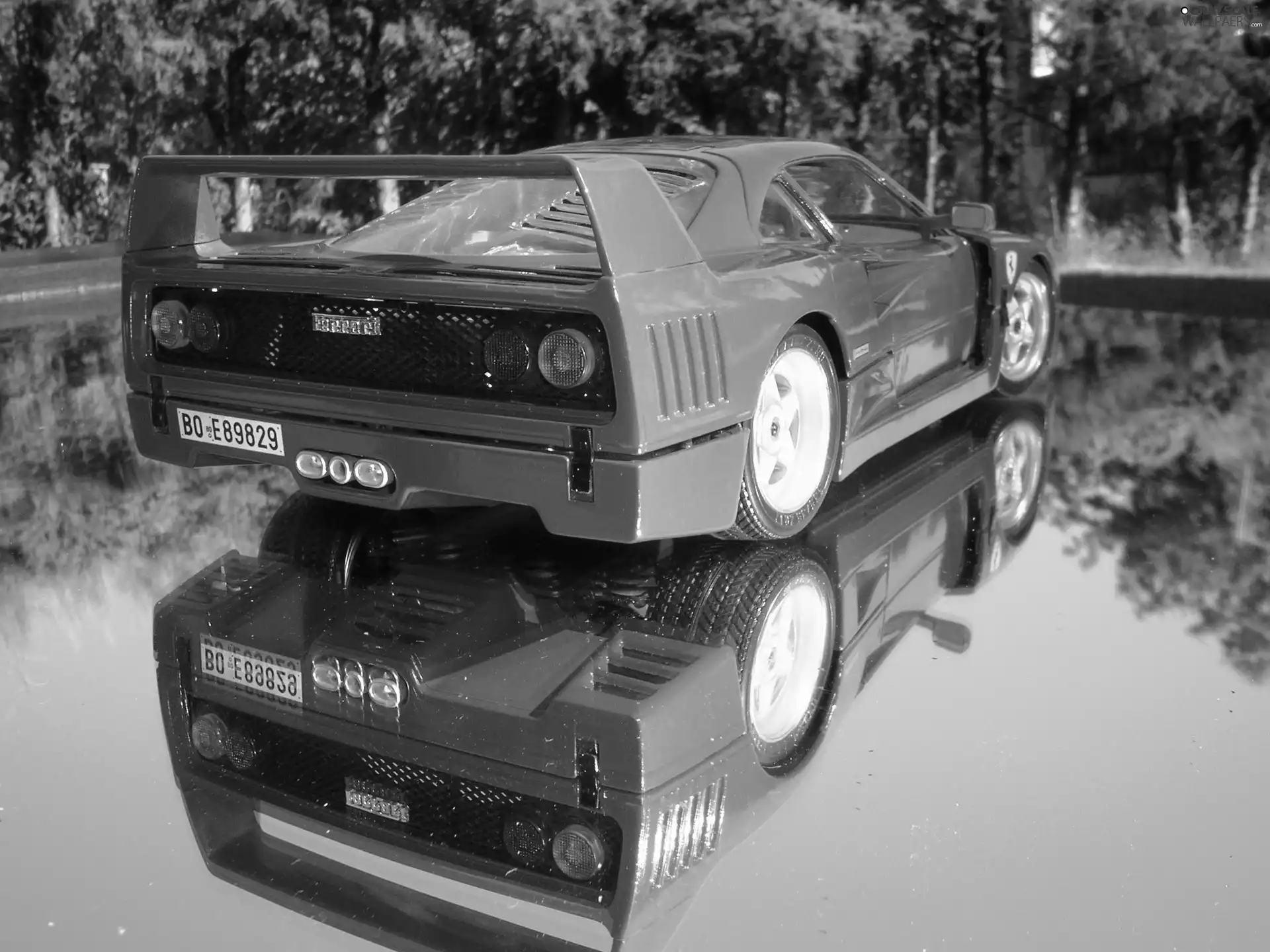 Back, Ferrari F 40, Lamps