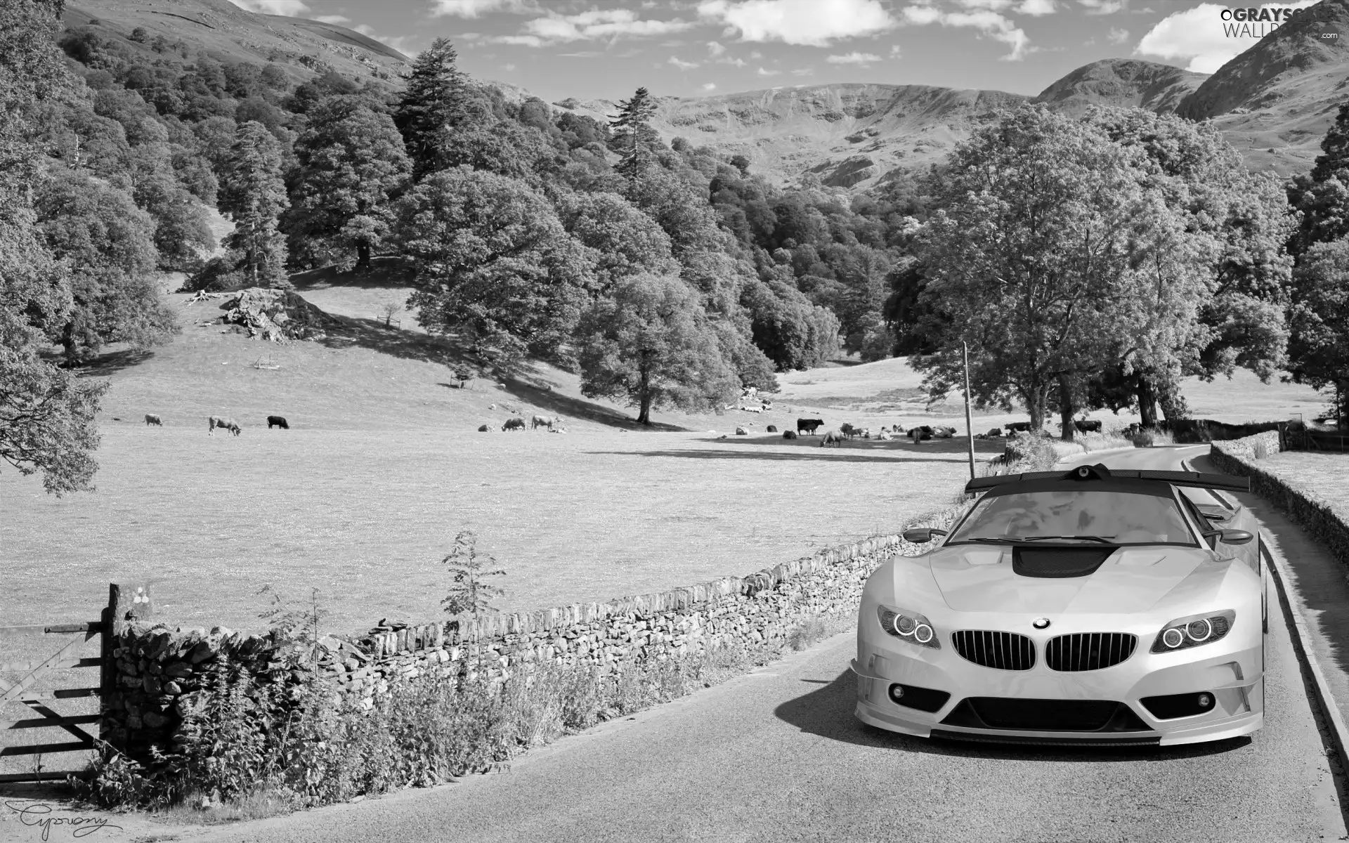 olive, Way, landscape, BMW