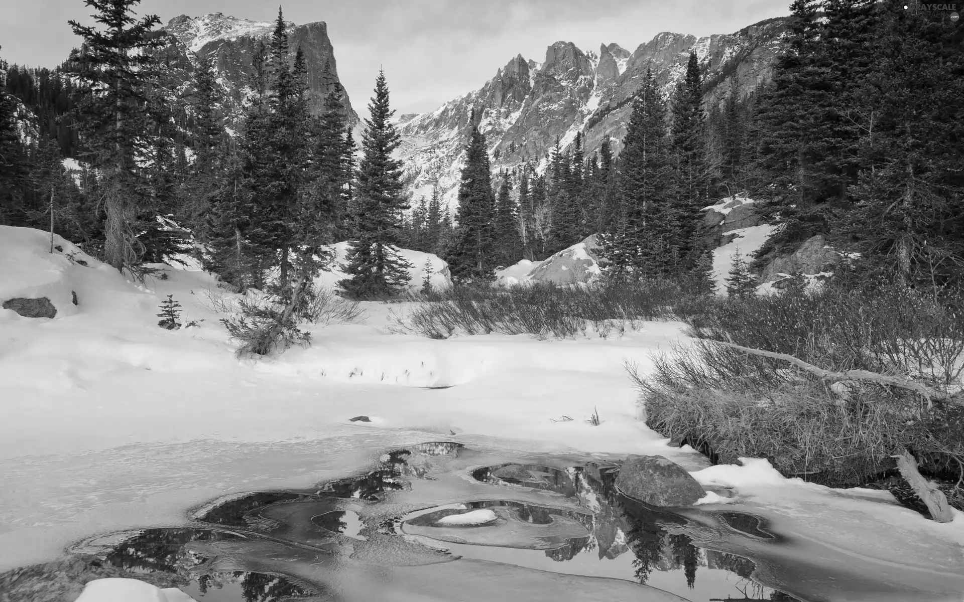 winter, landscape