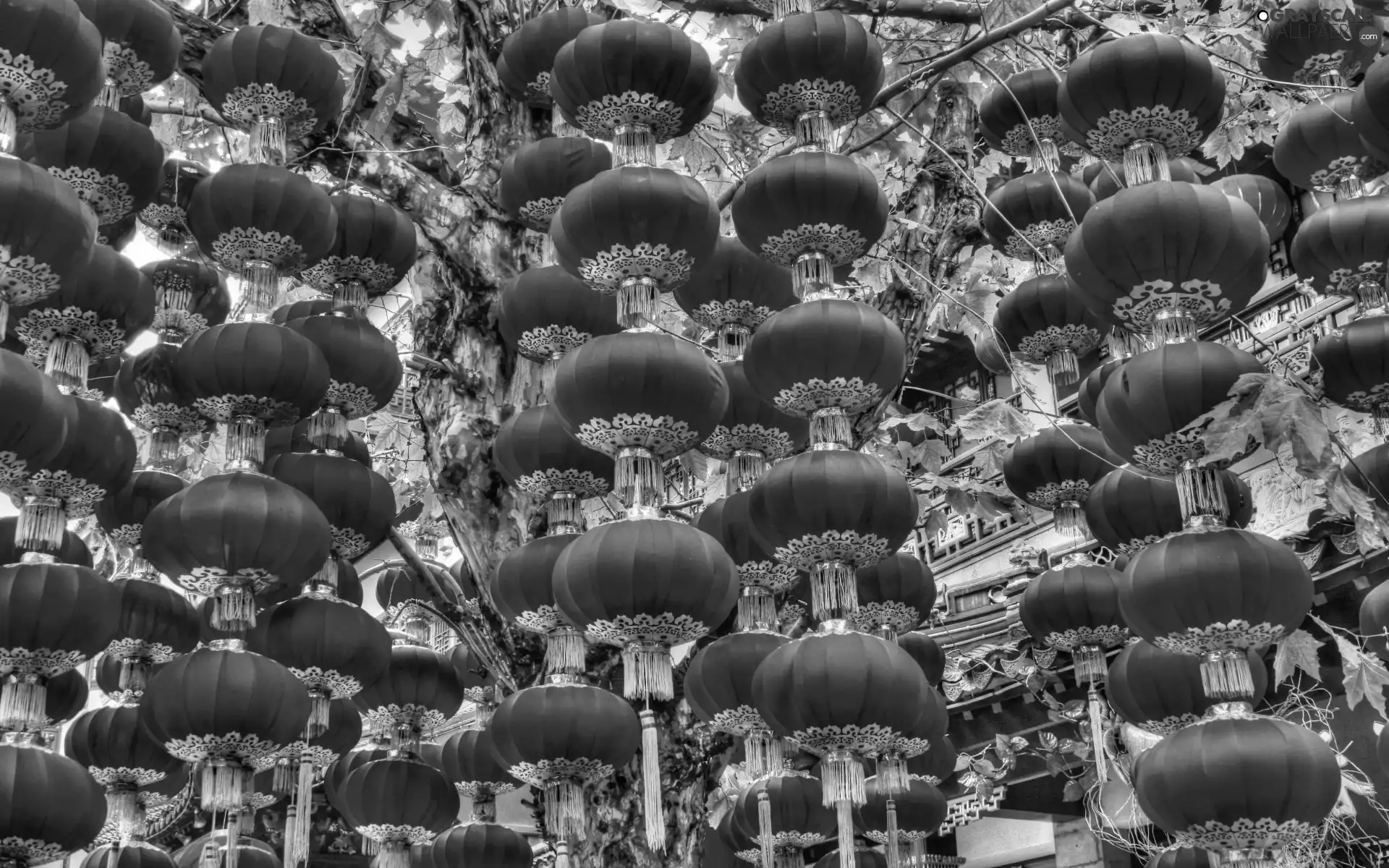 chinese, Lanterns, decoration, Red