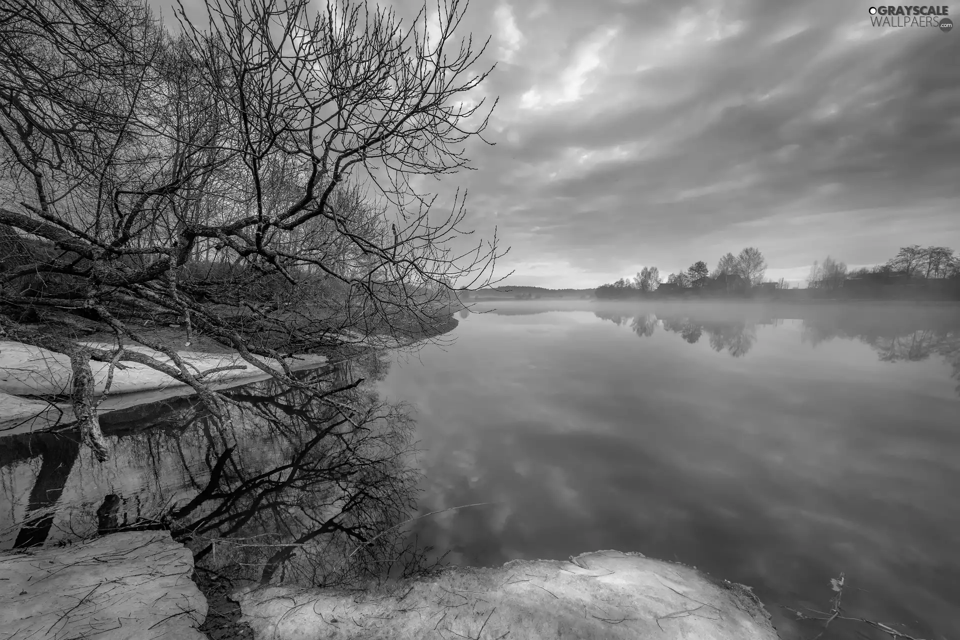 Fog, Dubna River, Latgale, Latvia, trees, Houses