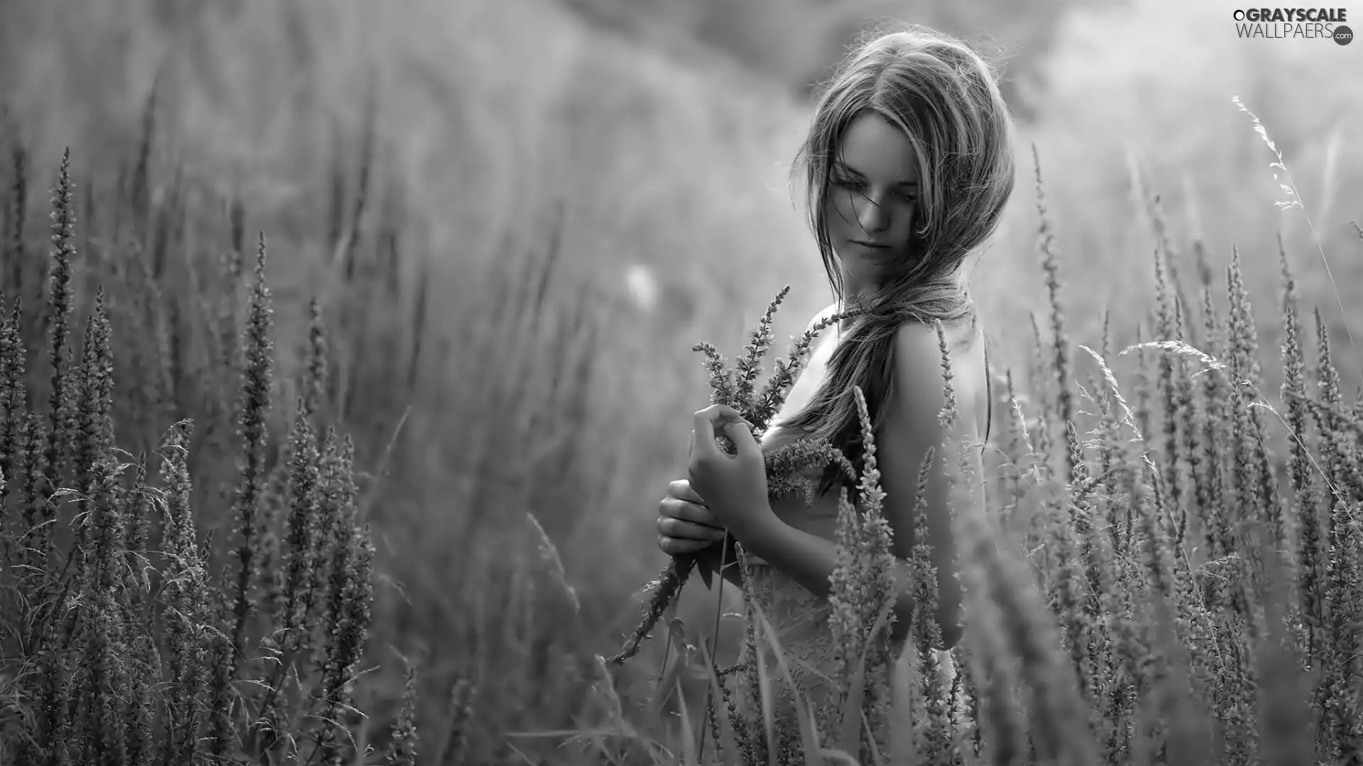 girl, Field, lavender, small bunch