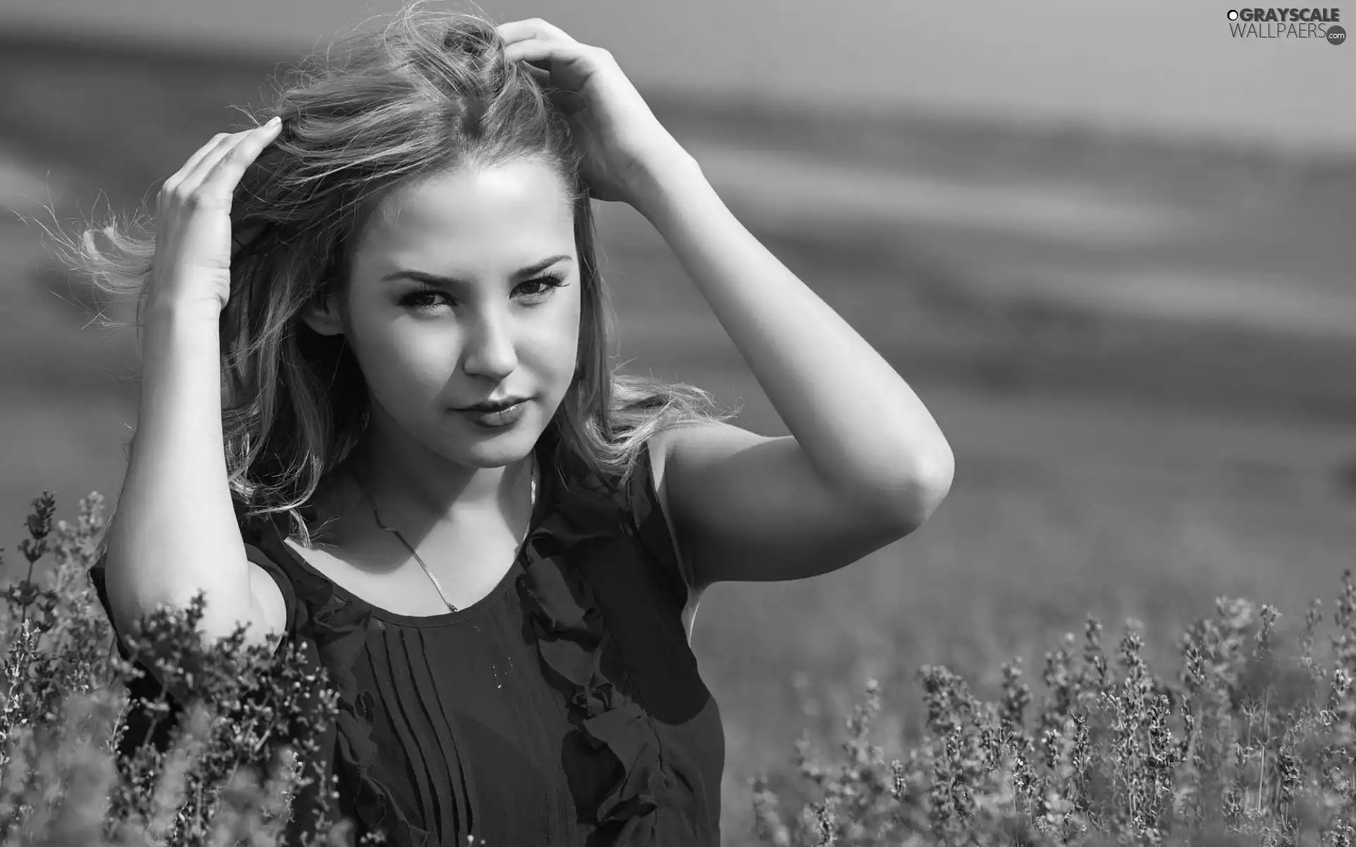 young, Meadow, lavender, girl