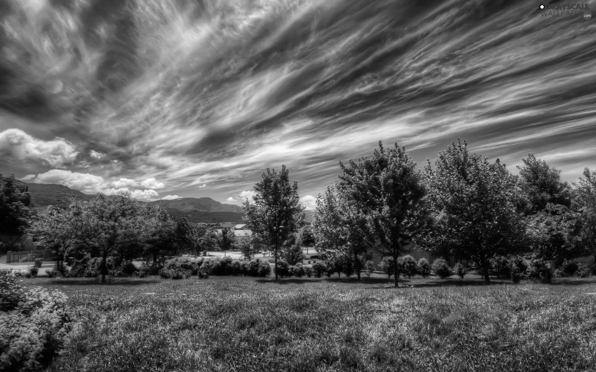 clouds, viewes, Lawn, trees