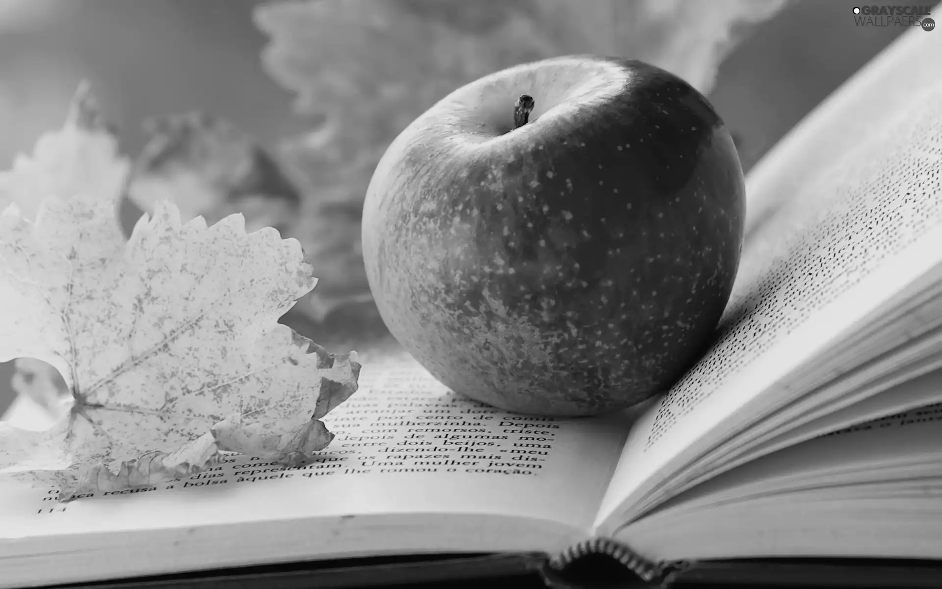Apple, Autumn, leaf, Book