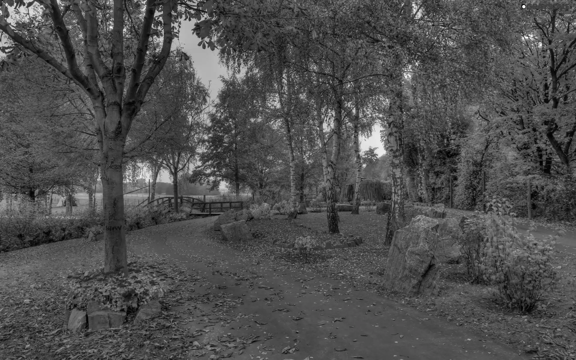 bridges, Park, Leaf, autumn, alley, River
