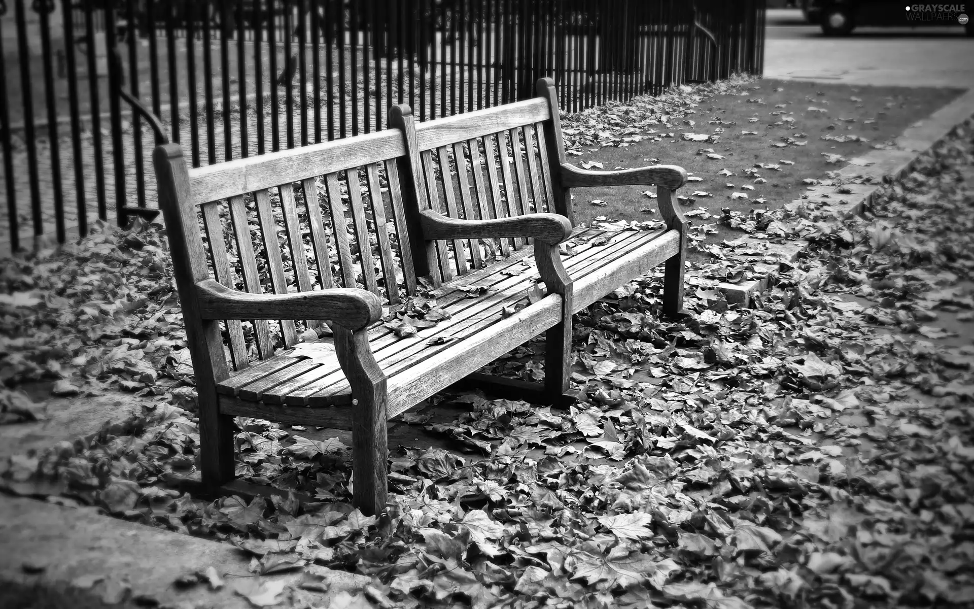 Leaf, Bench, Autumn