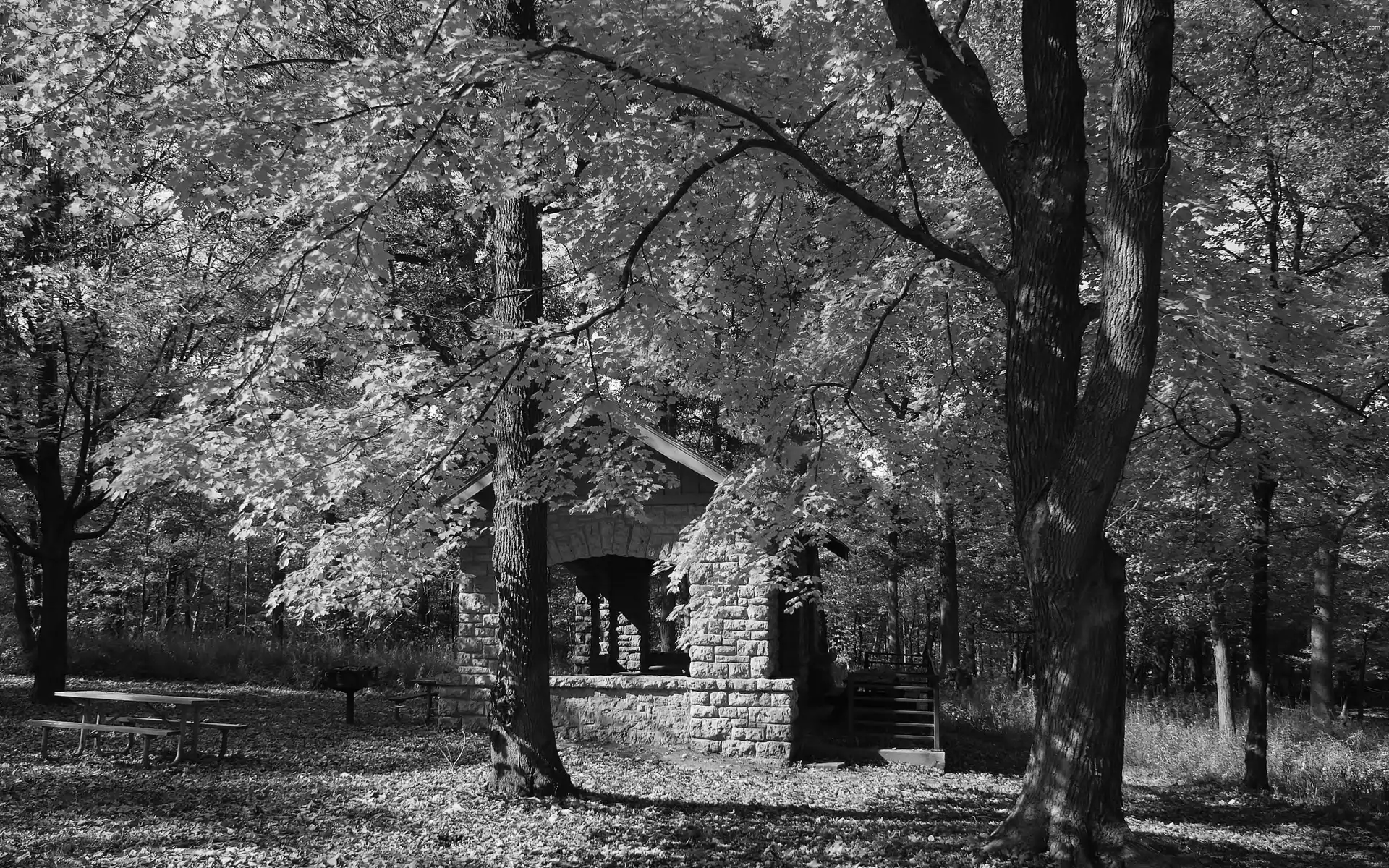 Leaf, autumn, Home, bench, Park