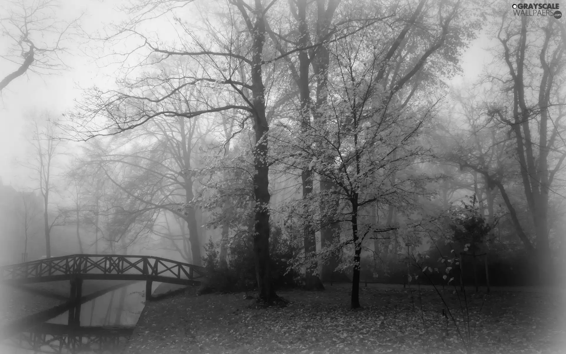 Leaf, autumn, bridges, Fog, River