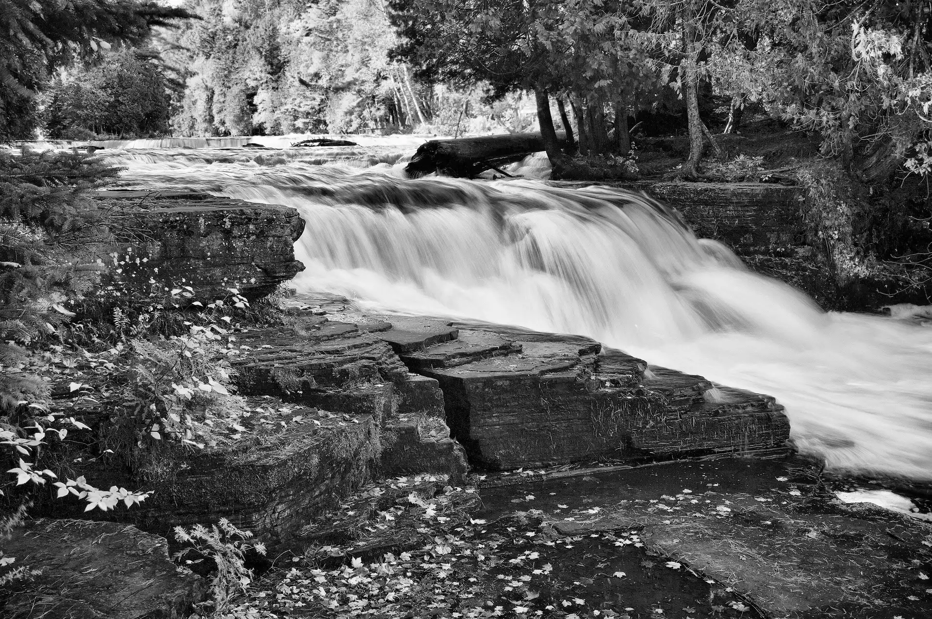 Leaf, autumn, rocks, forest, waterfall