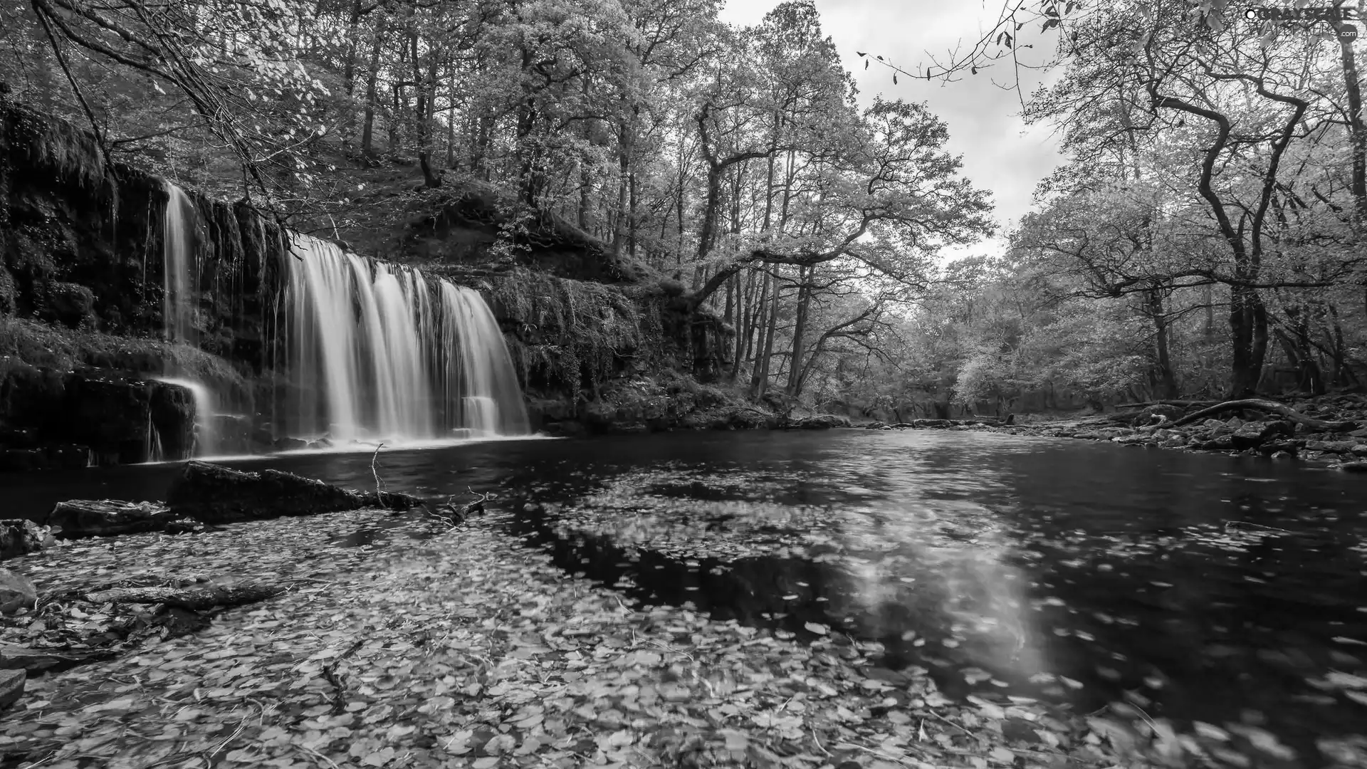 Leaf, autumn, forest, River, waterfall