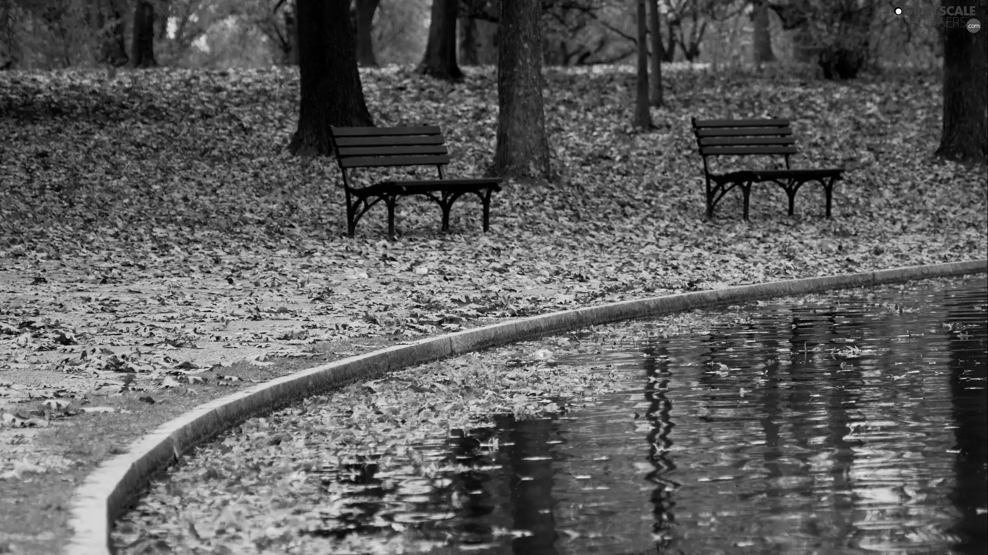 bench, Leaf, viewes, container, trees, Park, autumn, water