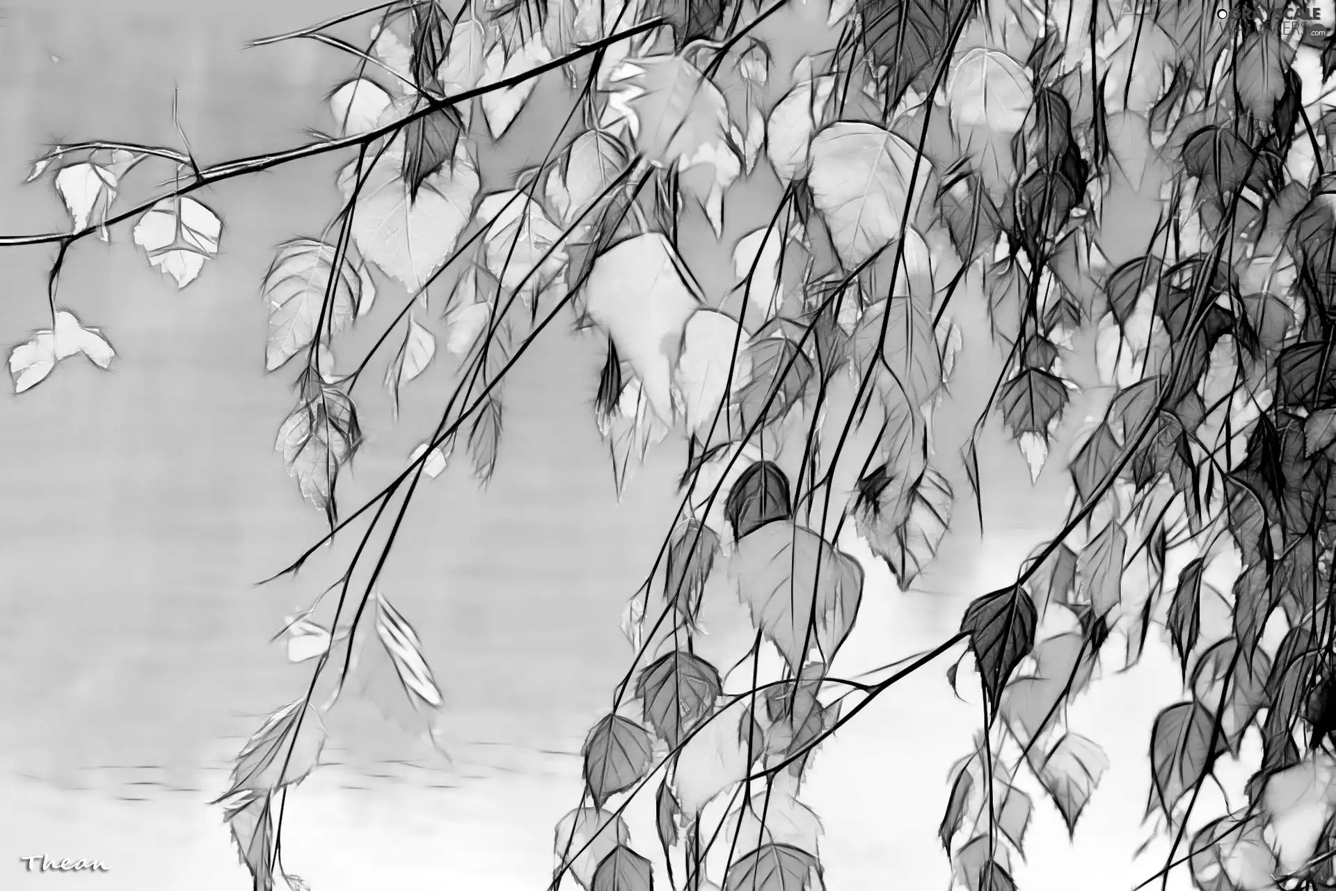 Fractalius, birch-tree, Leaf
