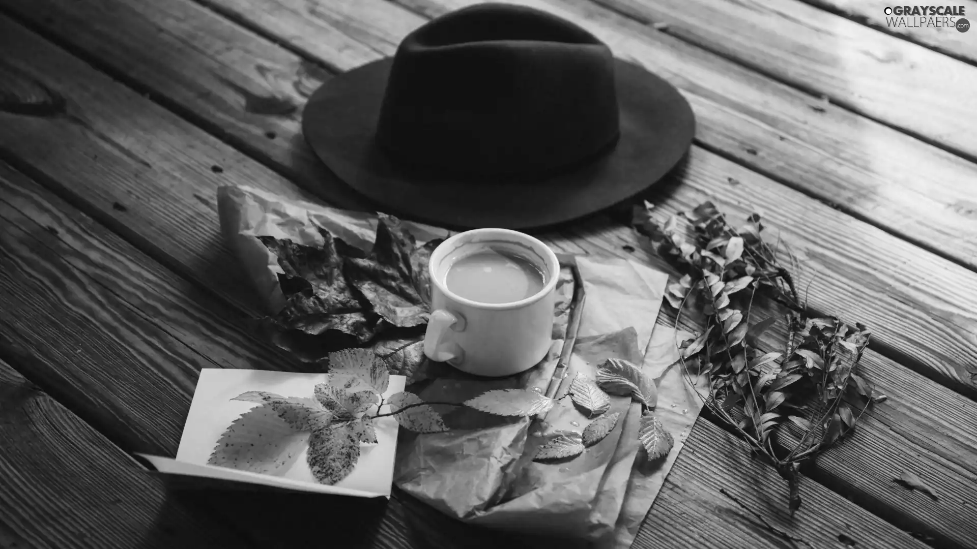 Leaf, boarding, coffee, Hat, composition