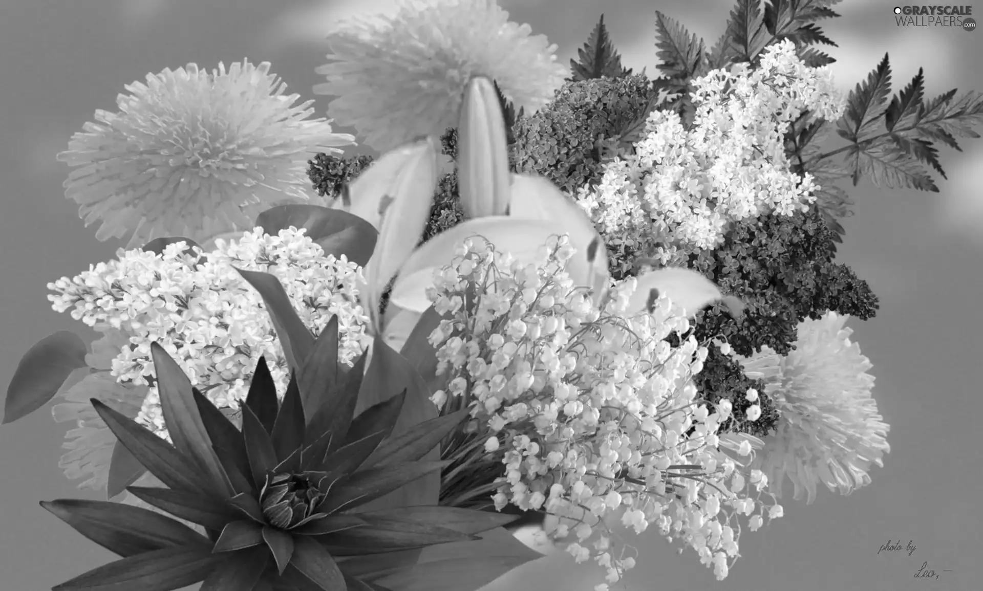 Leaf, Flowers, bouquet