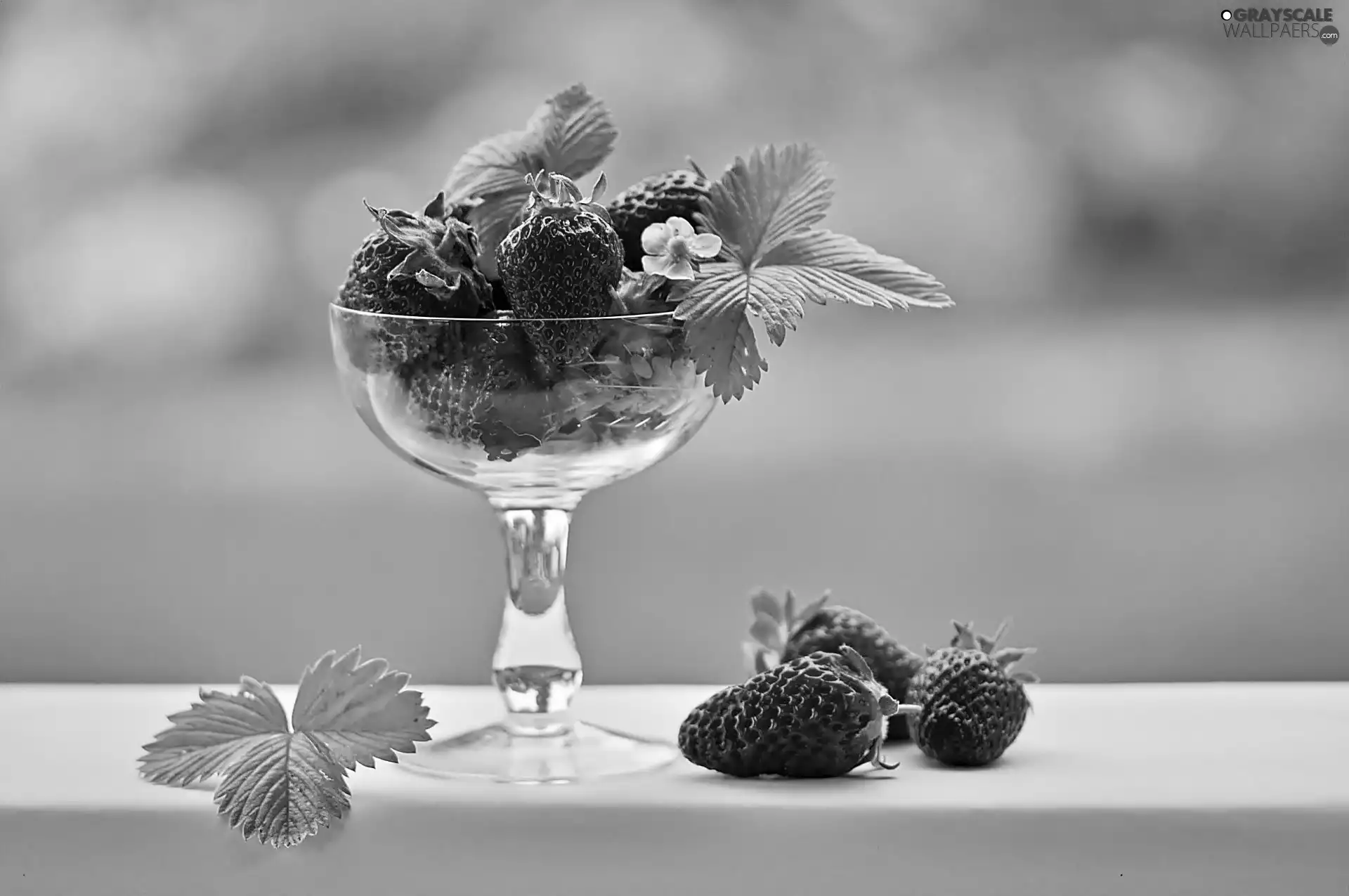 leaf, strawberries, Bowl