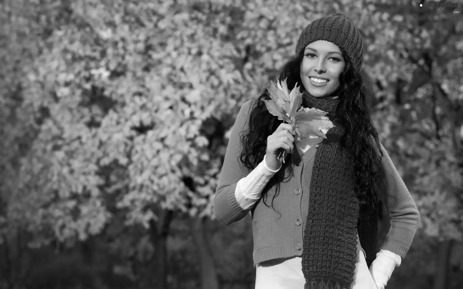 brunette, autumn, Leaf, Park