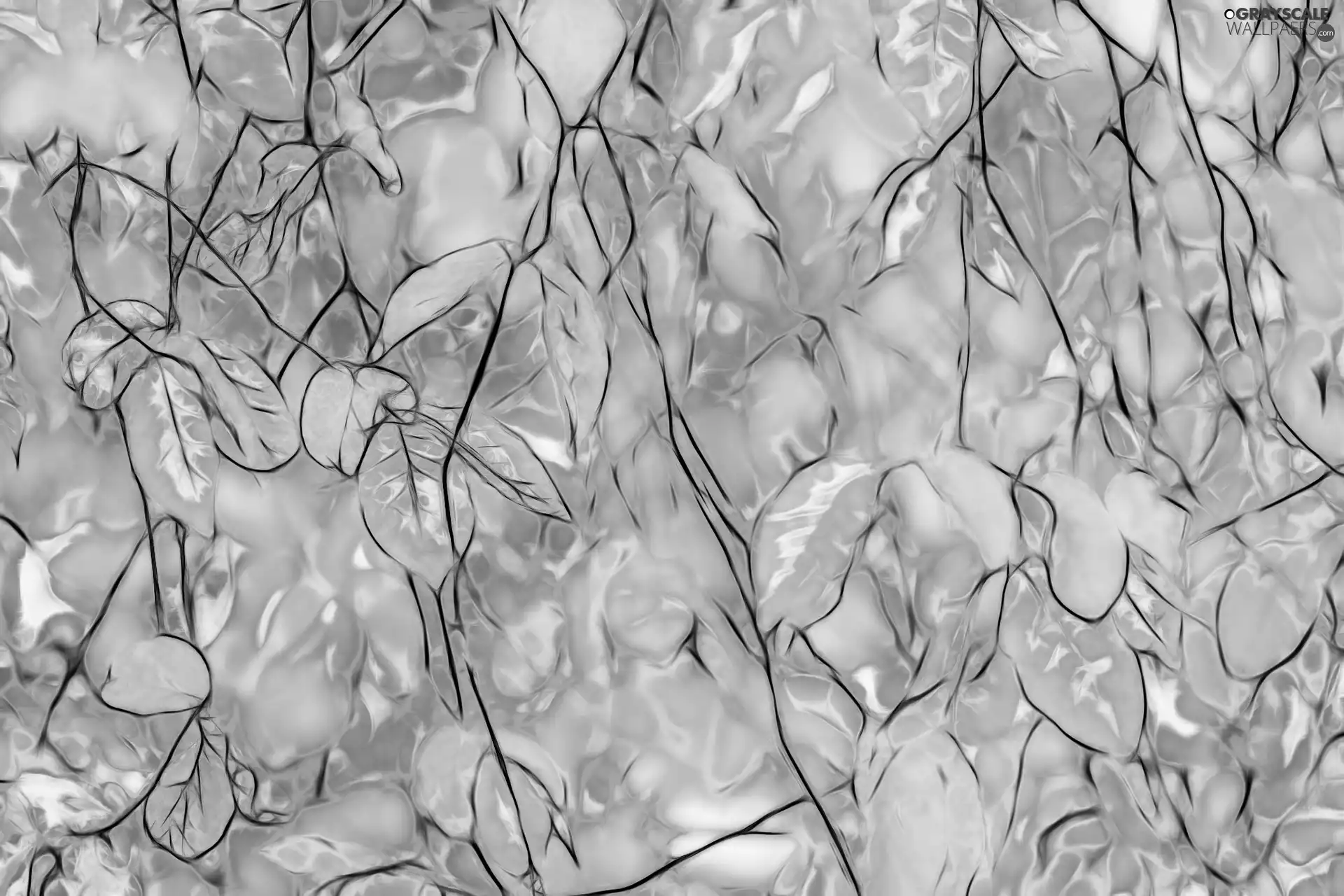 Leaf, Fractalius, color