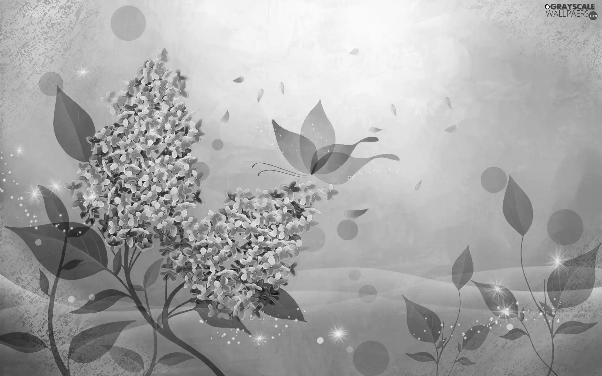 graphics, lilac, Leaf, Colourfull Flowers