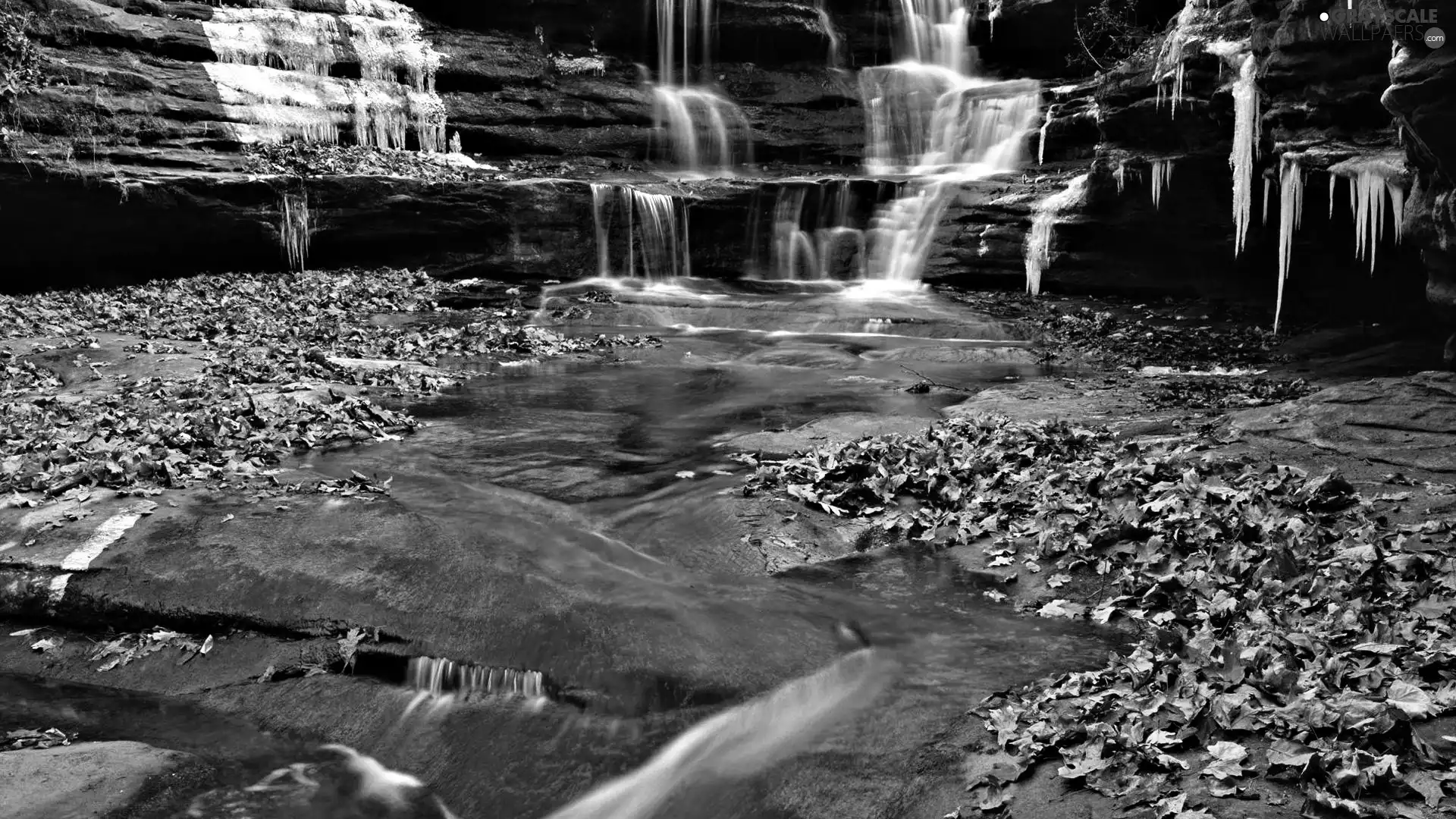 Leaf, waterfall, fallen