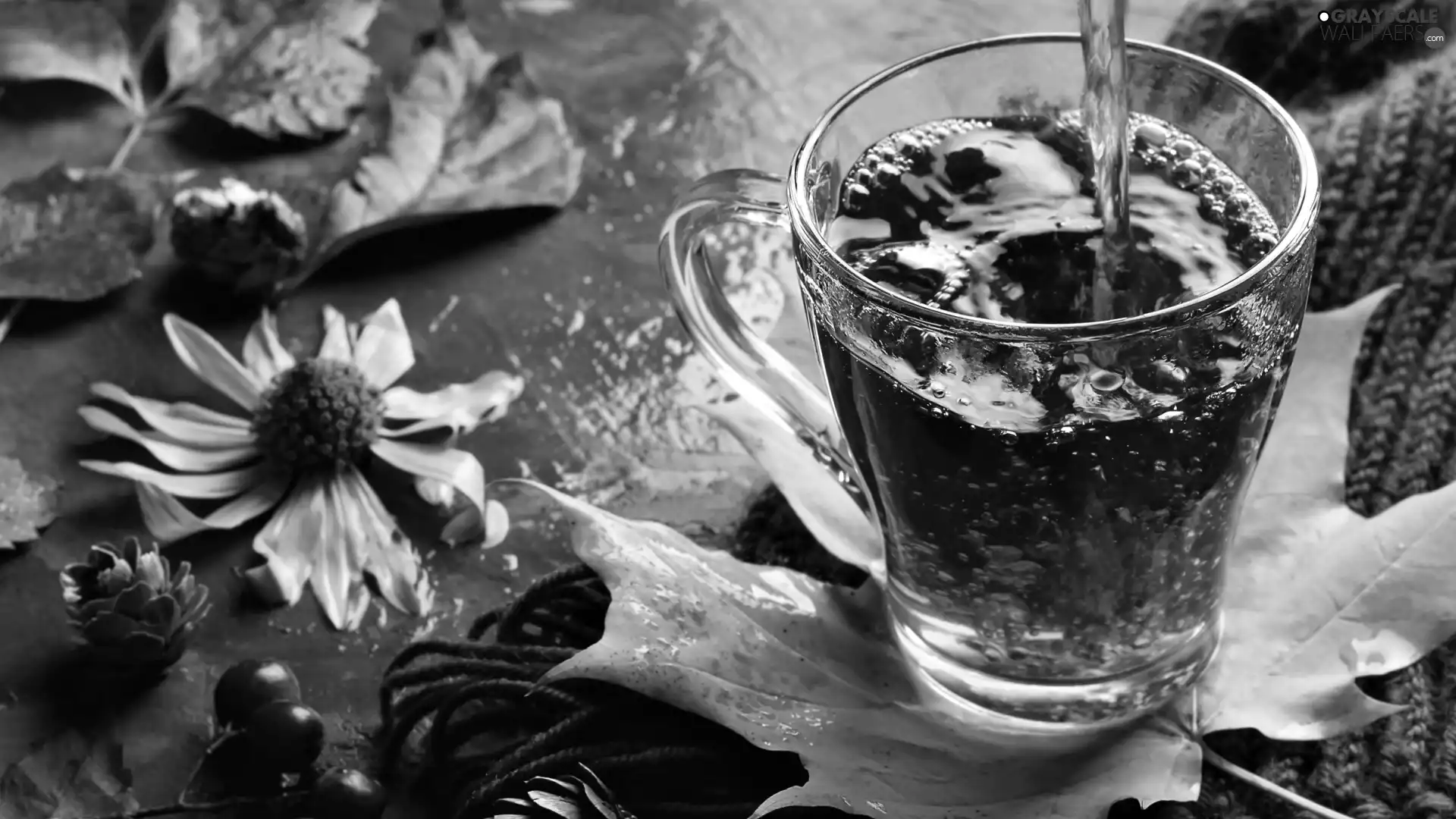 drink, cup, Leaf, Flowers, Autumn, tea