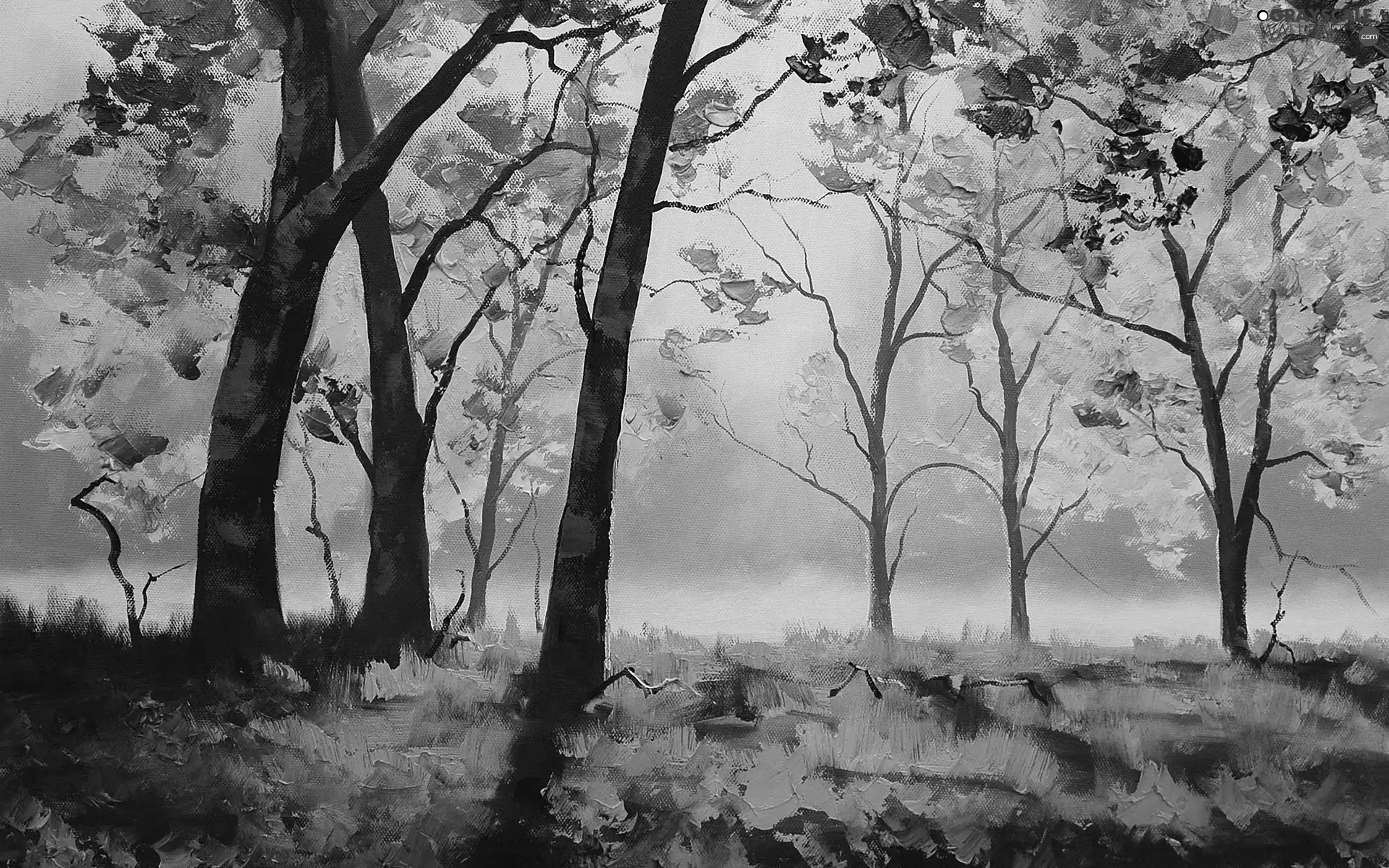 Leaf, Fog, viewes, autumn, trees