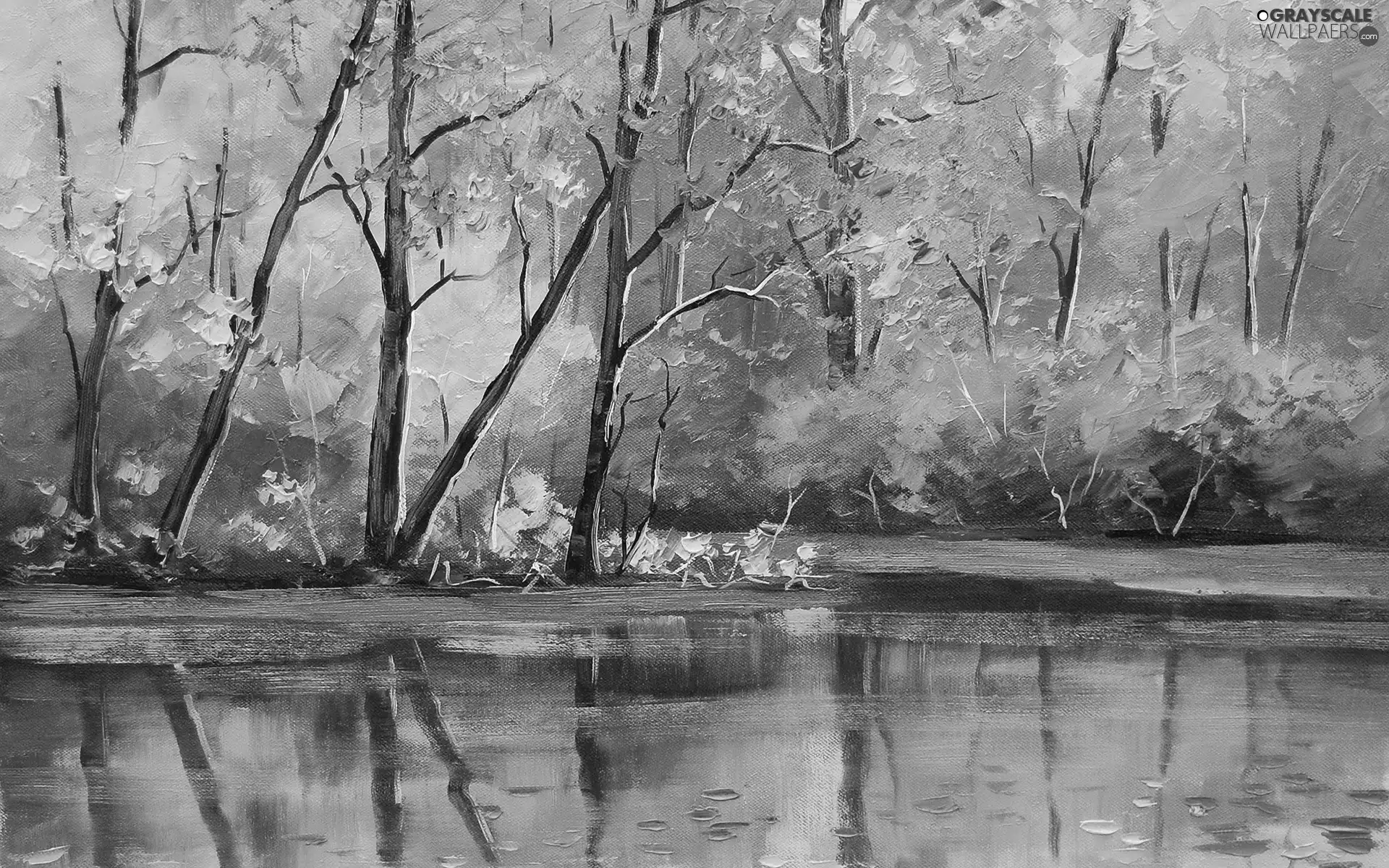 forest, color, Leaf, water