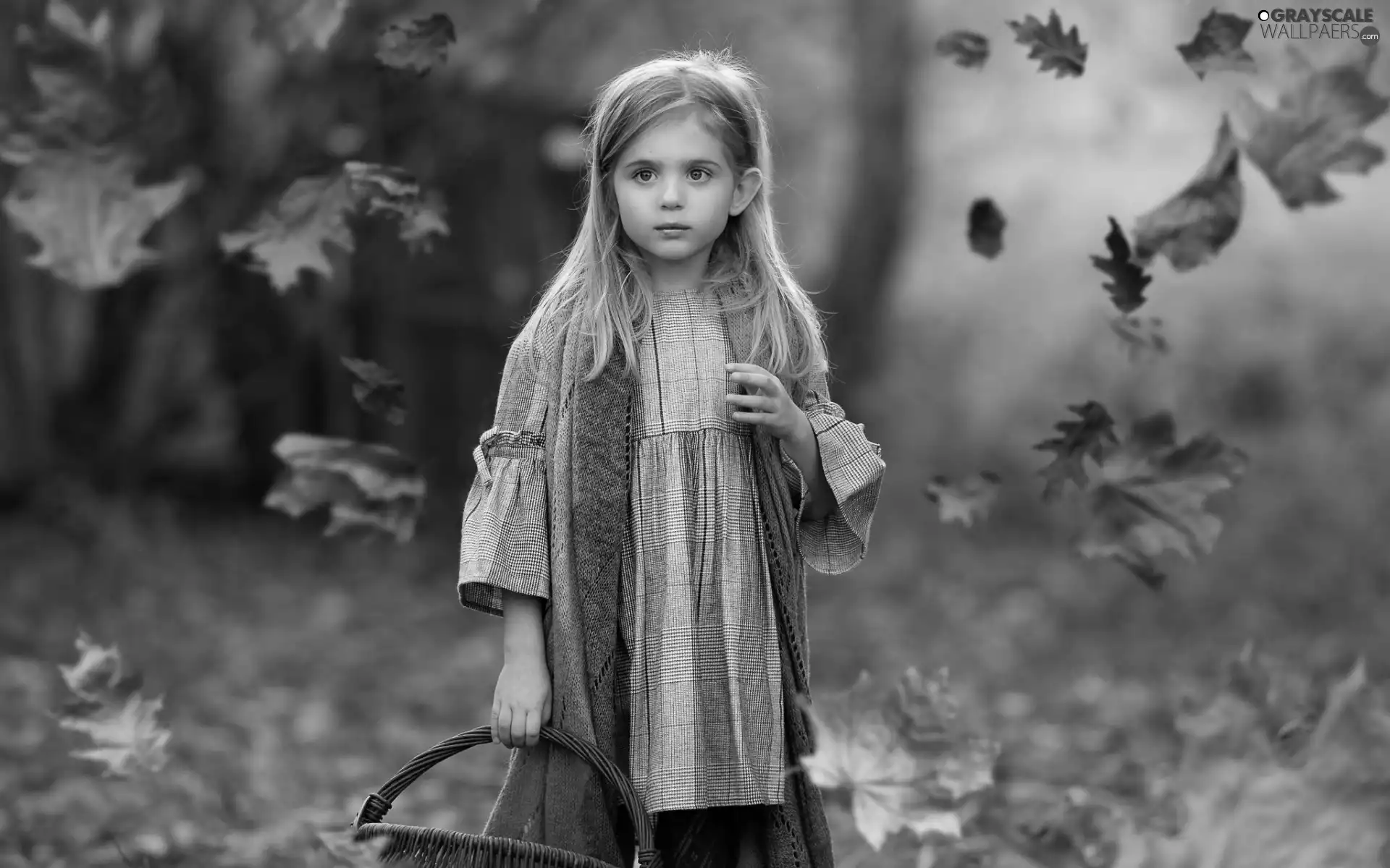 basket, Leaf, Gray, dress, girl