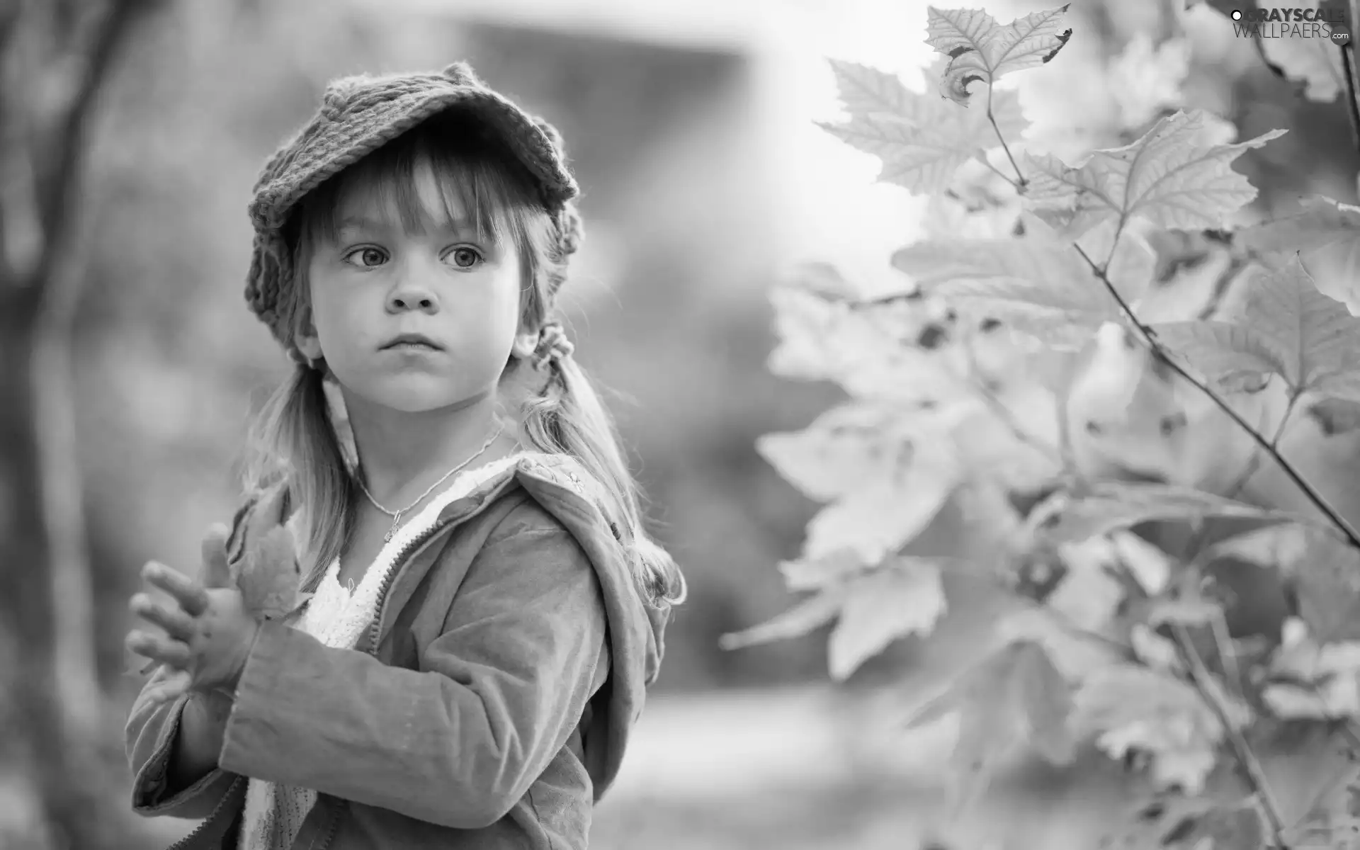 Leaf, girl, Hat
