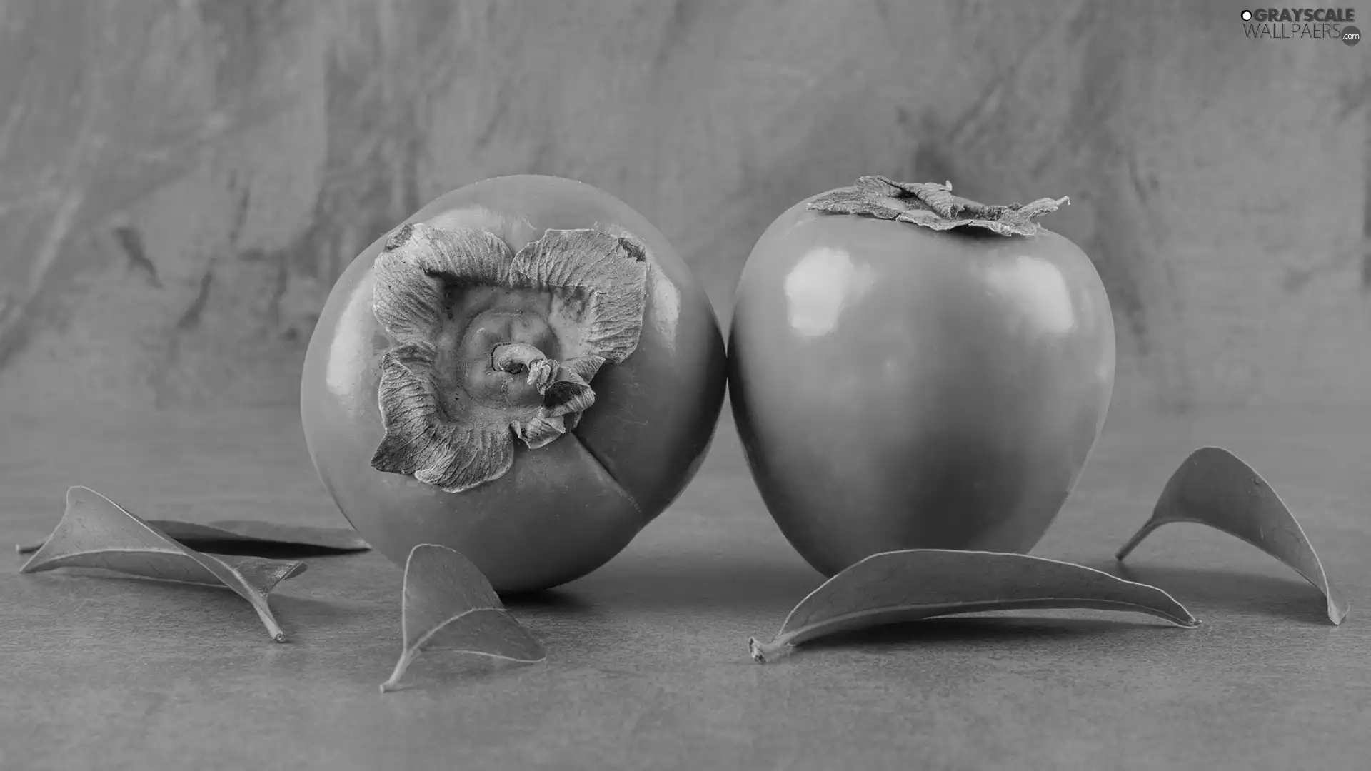 Leaf, Persimmons, Kaki
